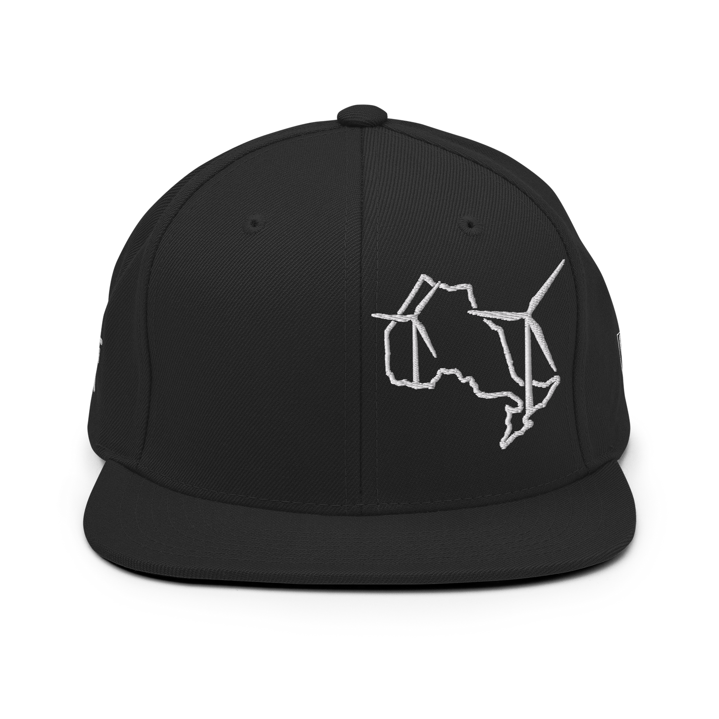 Ontario Wind Snapback Hat