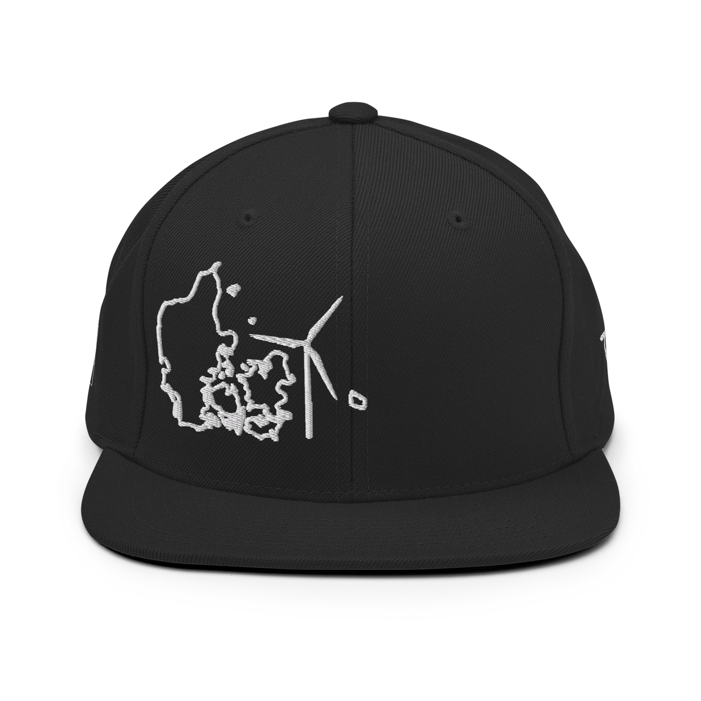 Denmark Wind Snapback Hat