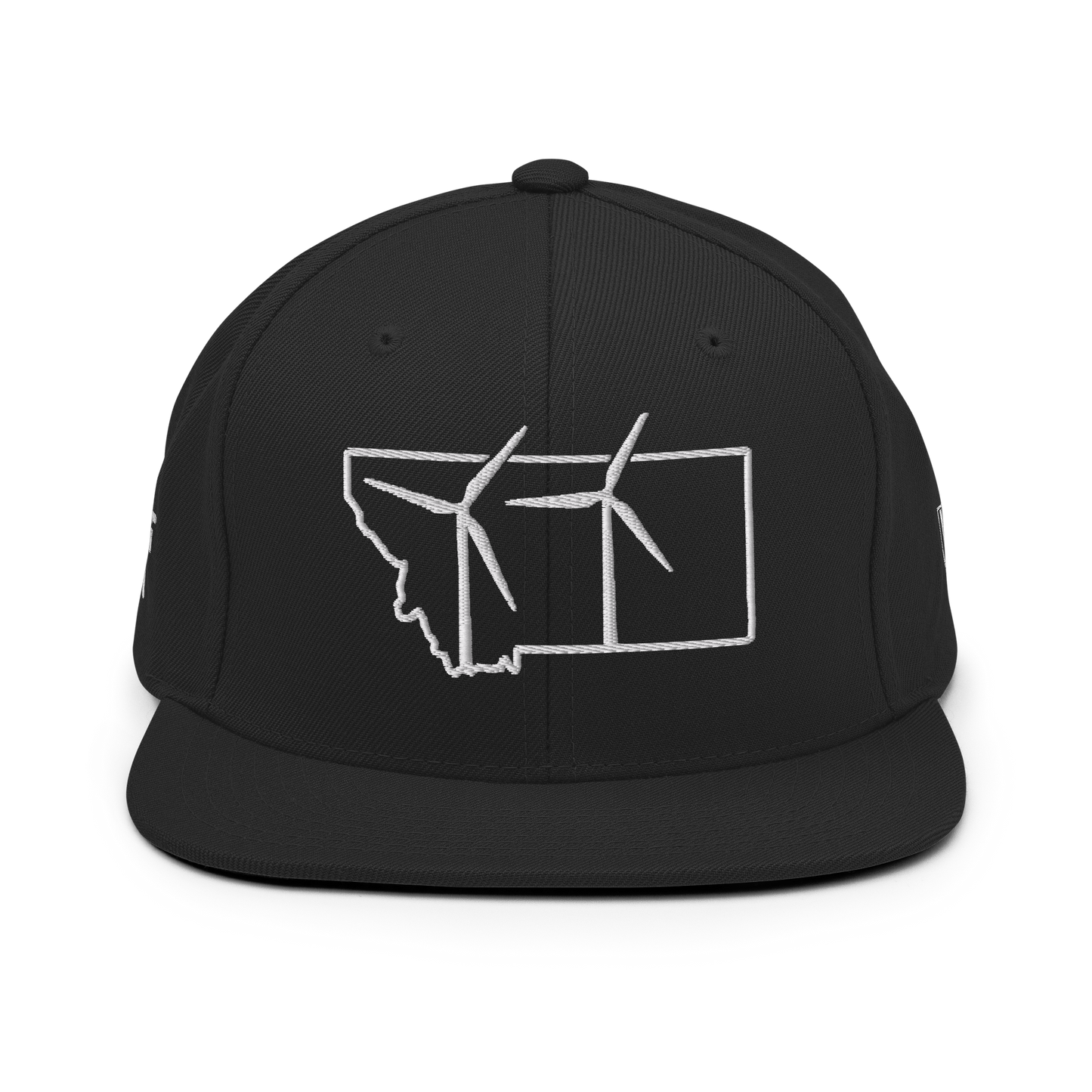 Montana Wind Snapback Hat