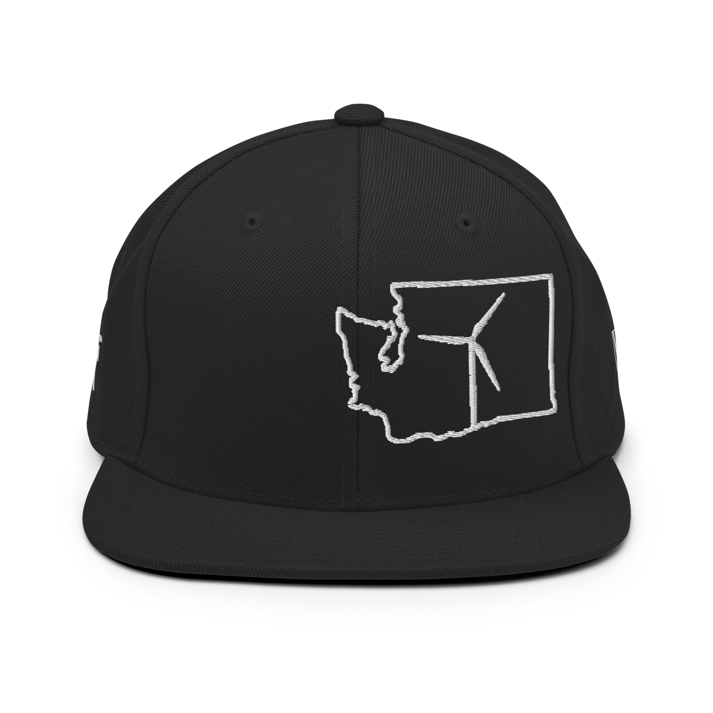 Washington Wind Snapback Hat