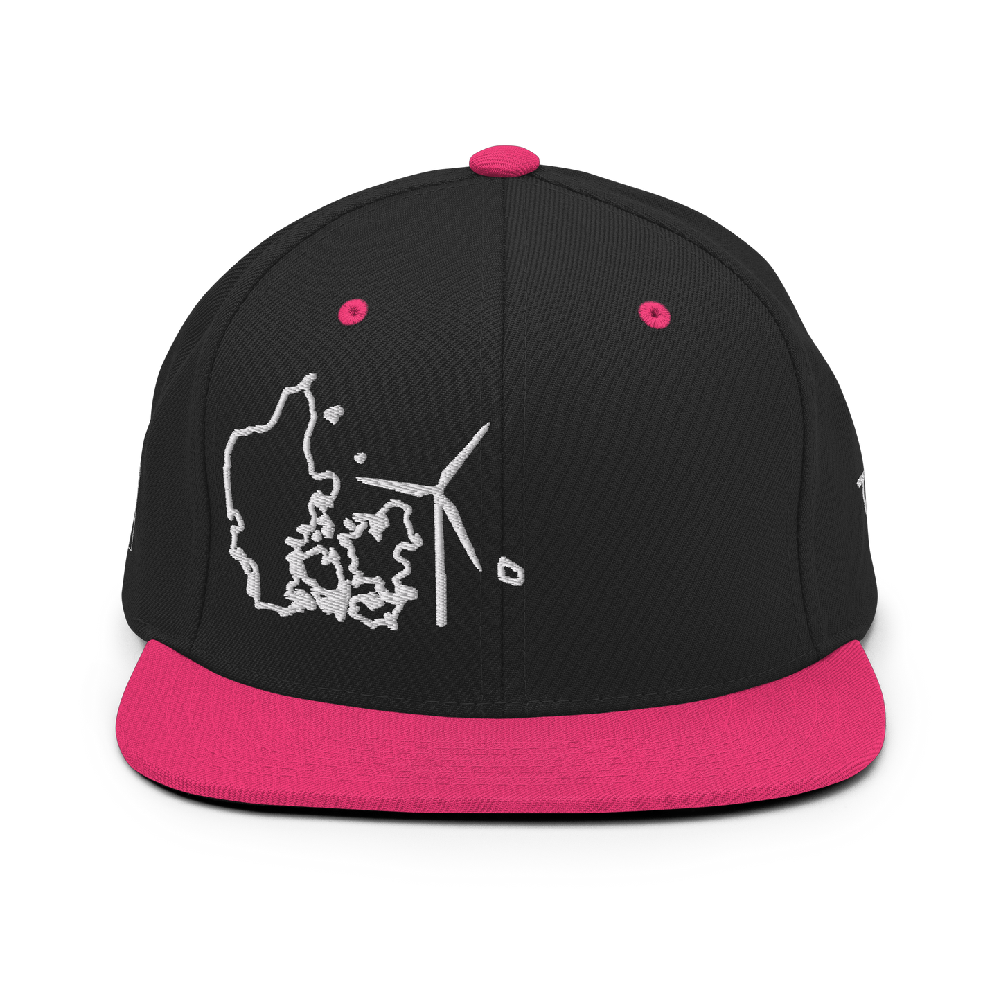 Denmark Wind Snapback Hat
