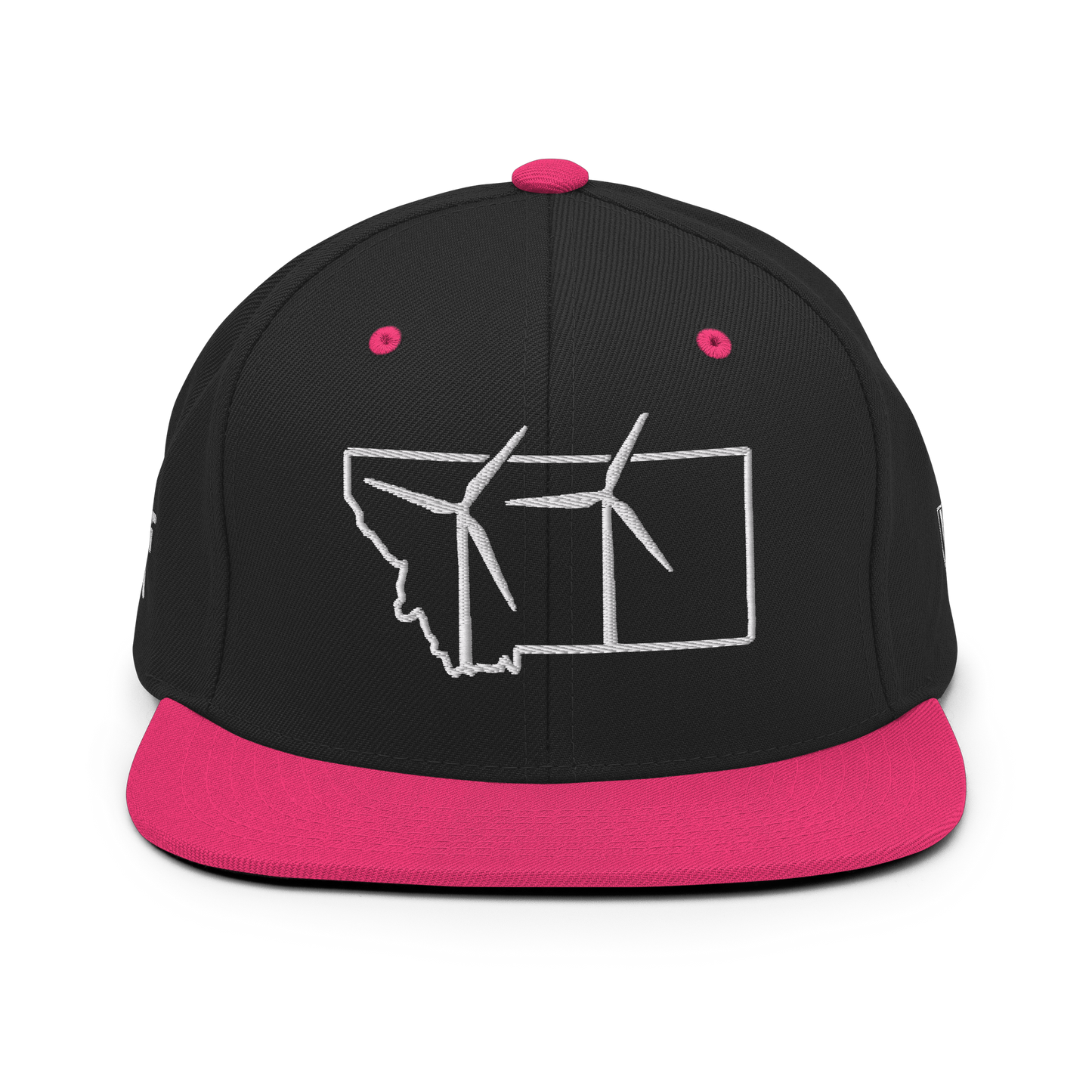 Montana Wind Snapback Hat