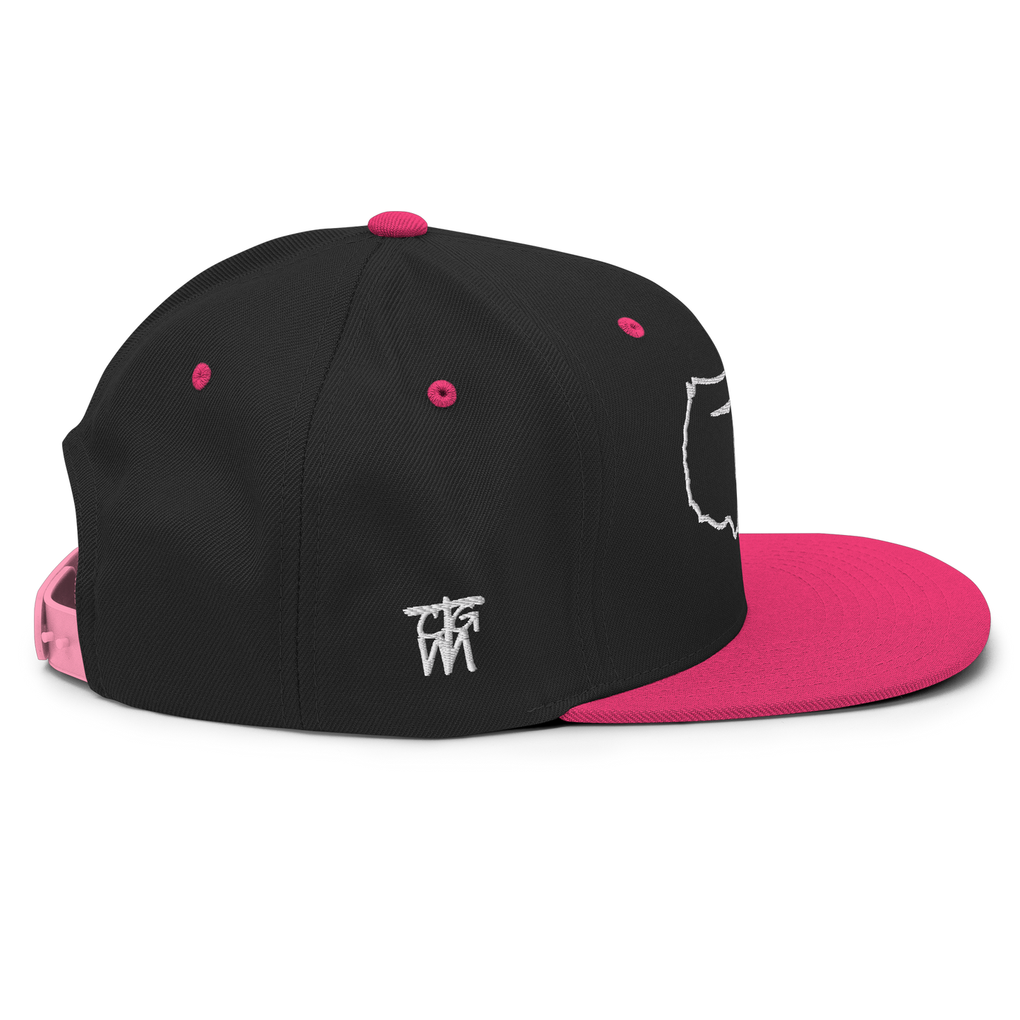 USA Wind Snapback Hat