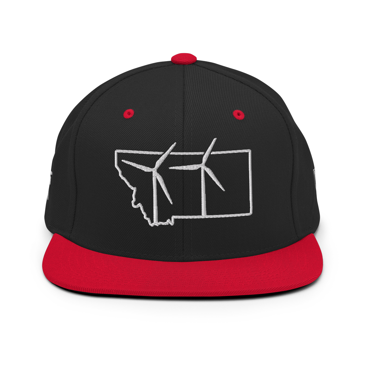 Montana Wind Snapback Hat