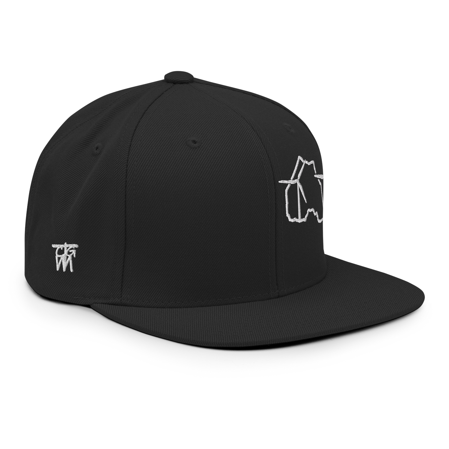 Ontario Wind Snapback Hat