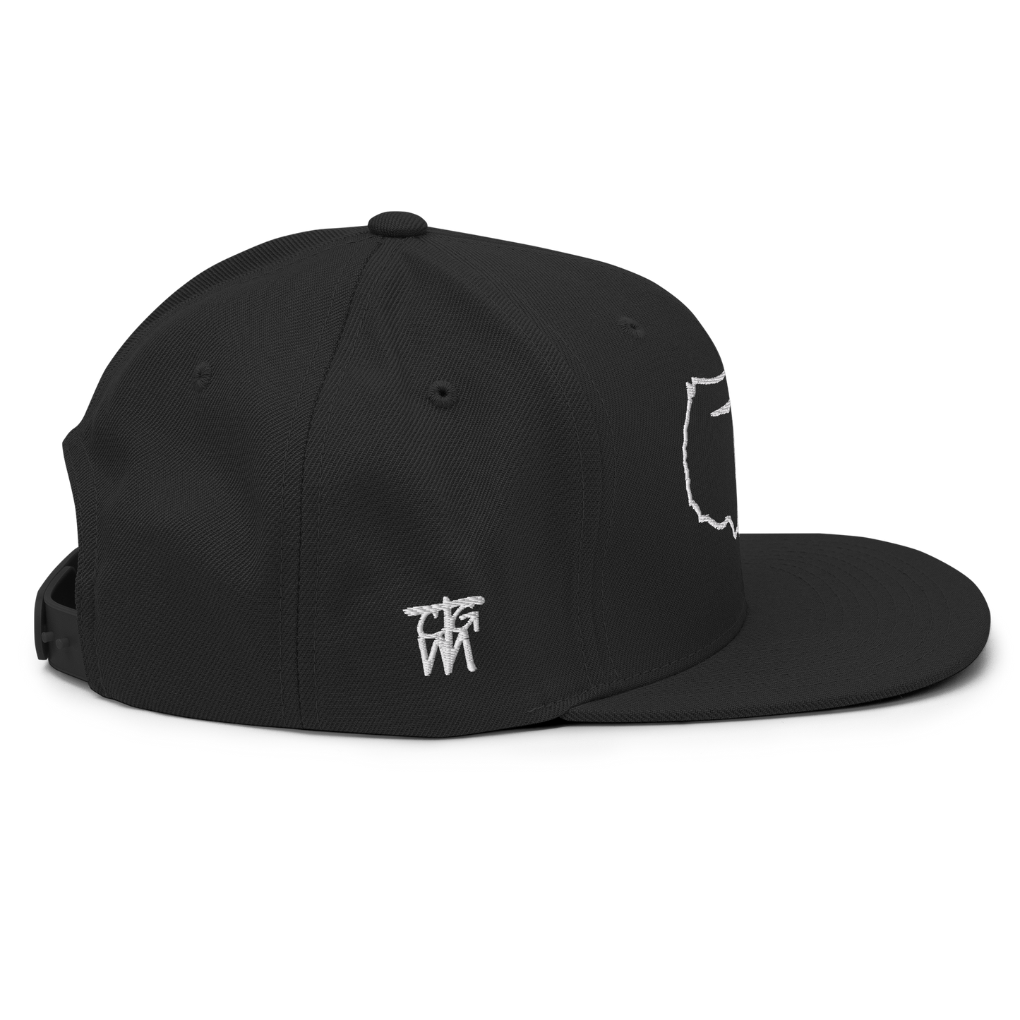 USA Wind Snapback Hat