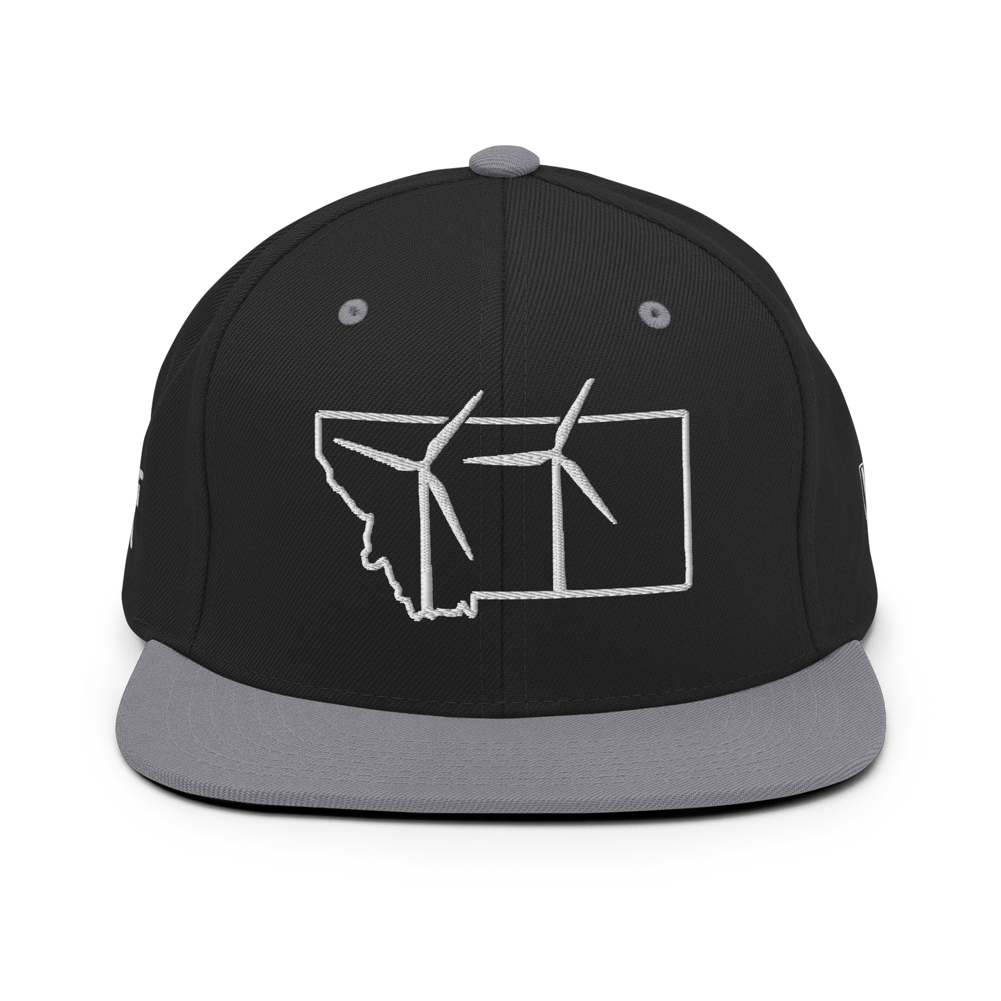 Montana Wind Snapback Hat