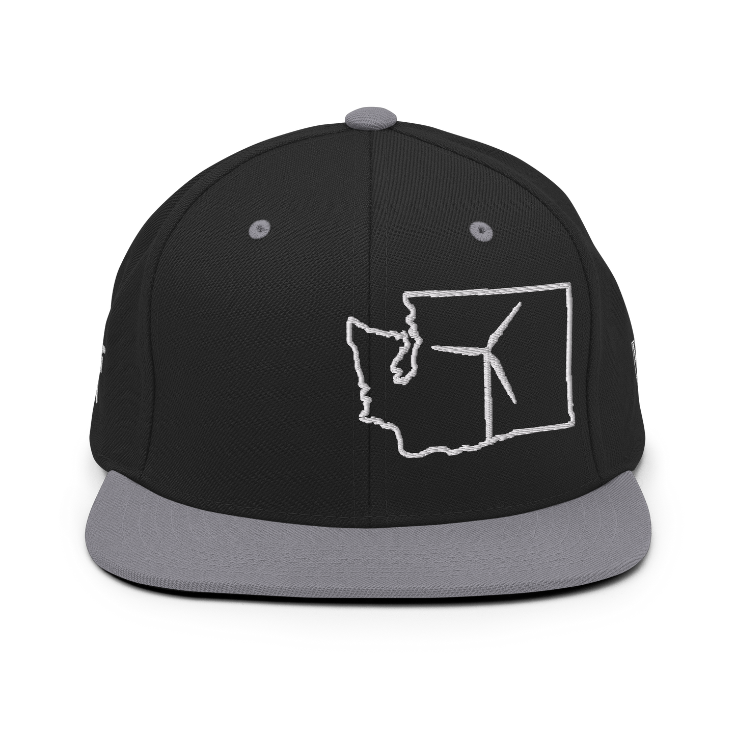 Washington Wind Snapback Hat