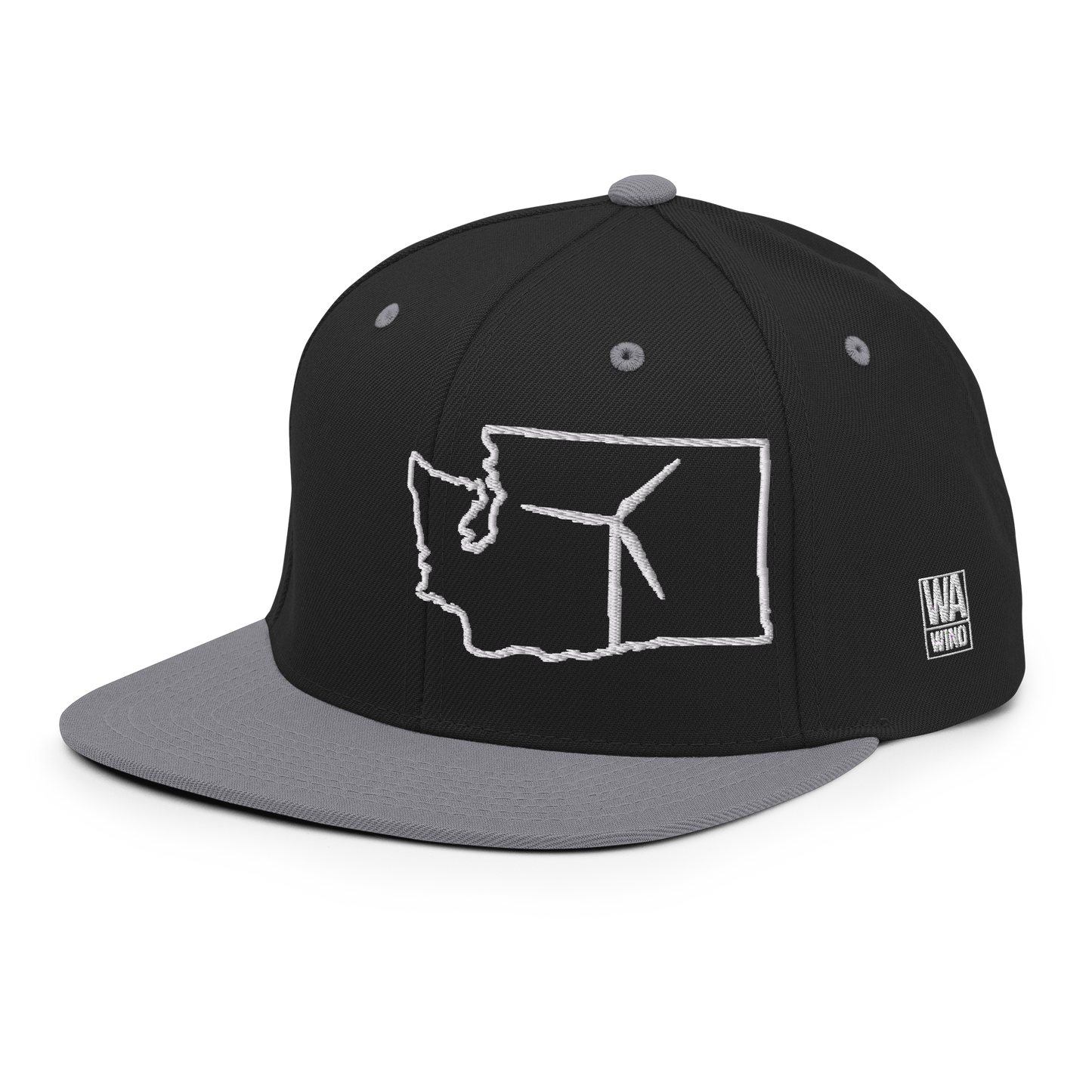 Washington Wind Snapback Hat