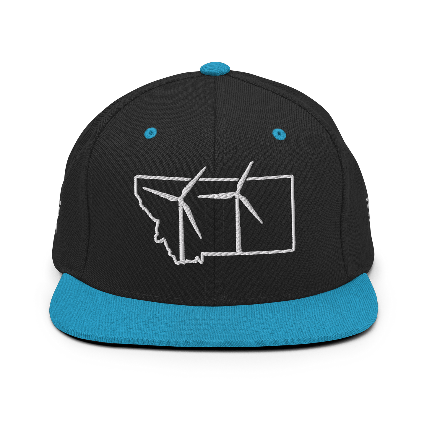 Montana Wind Snapback Hat