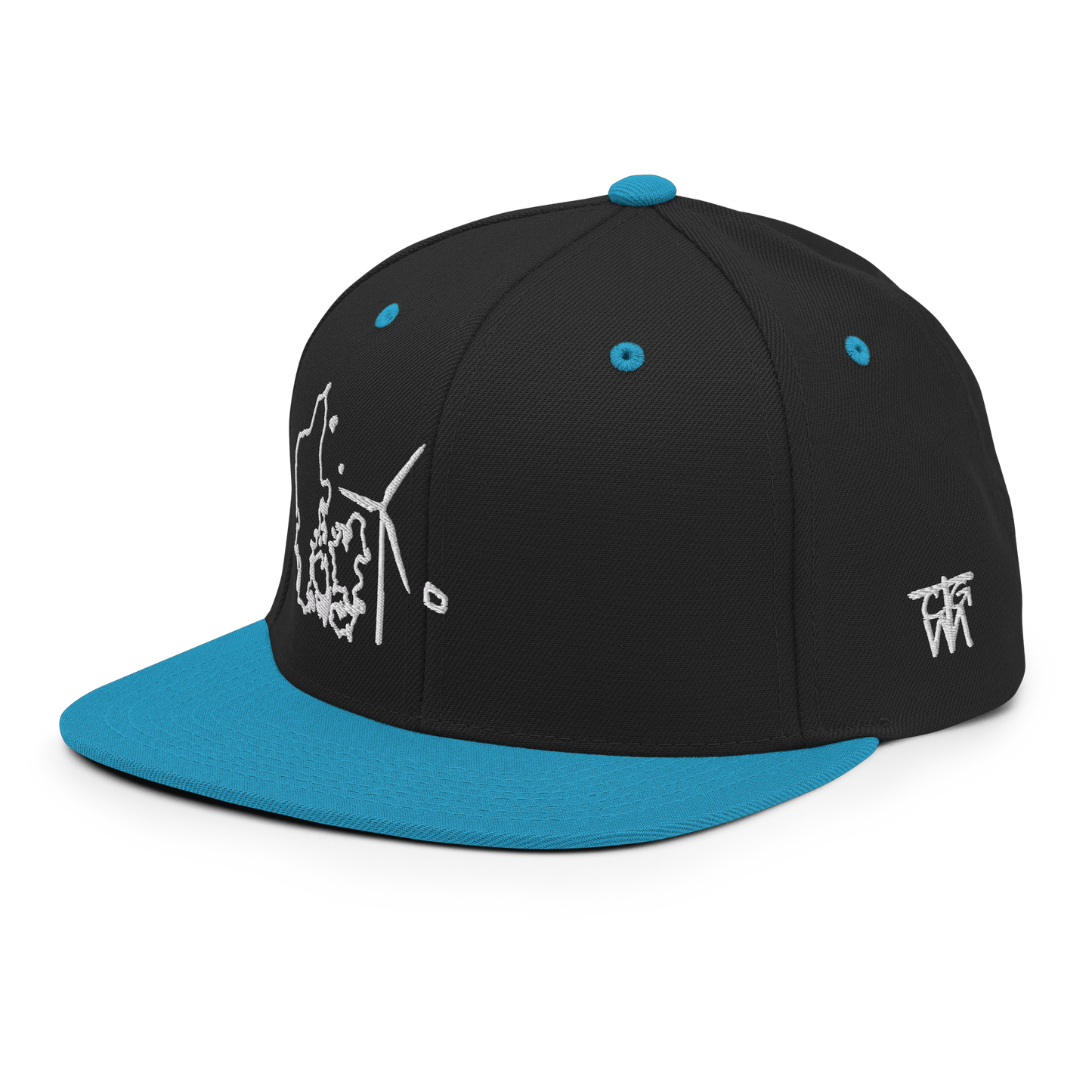 Denmark Wind Snapback Hat