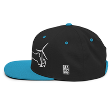 Massachusetts Wind Snapback Hat