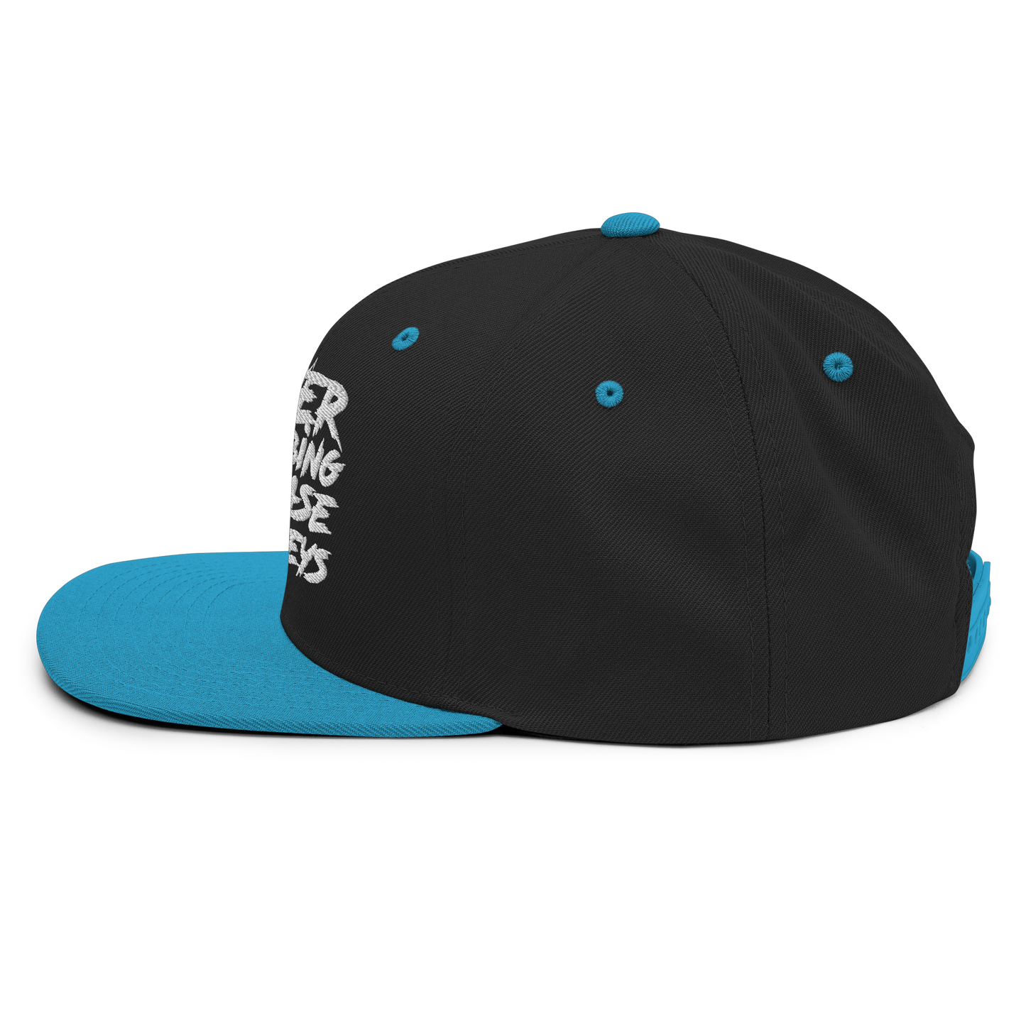 Scratch Snapback Hat