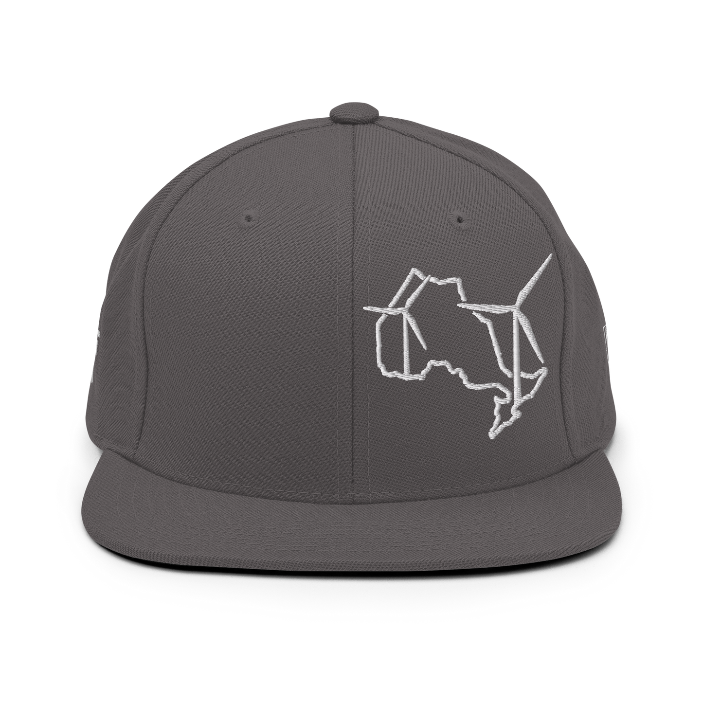 Ontario Wind Snapback Hat
