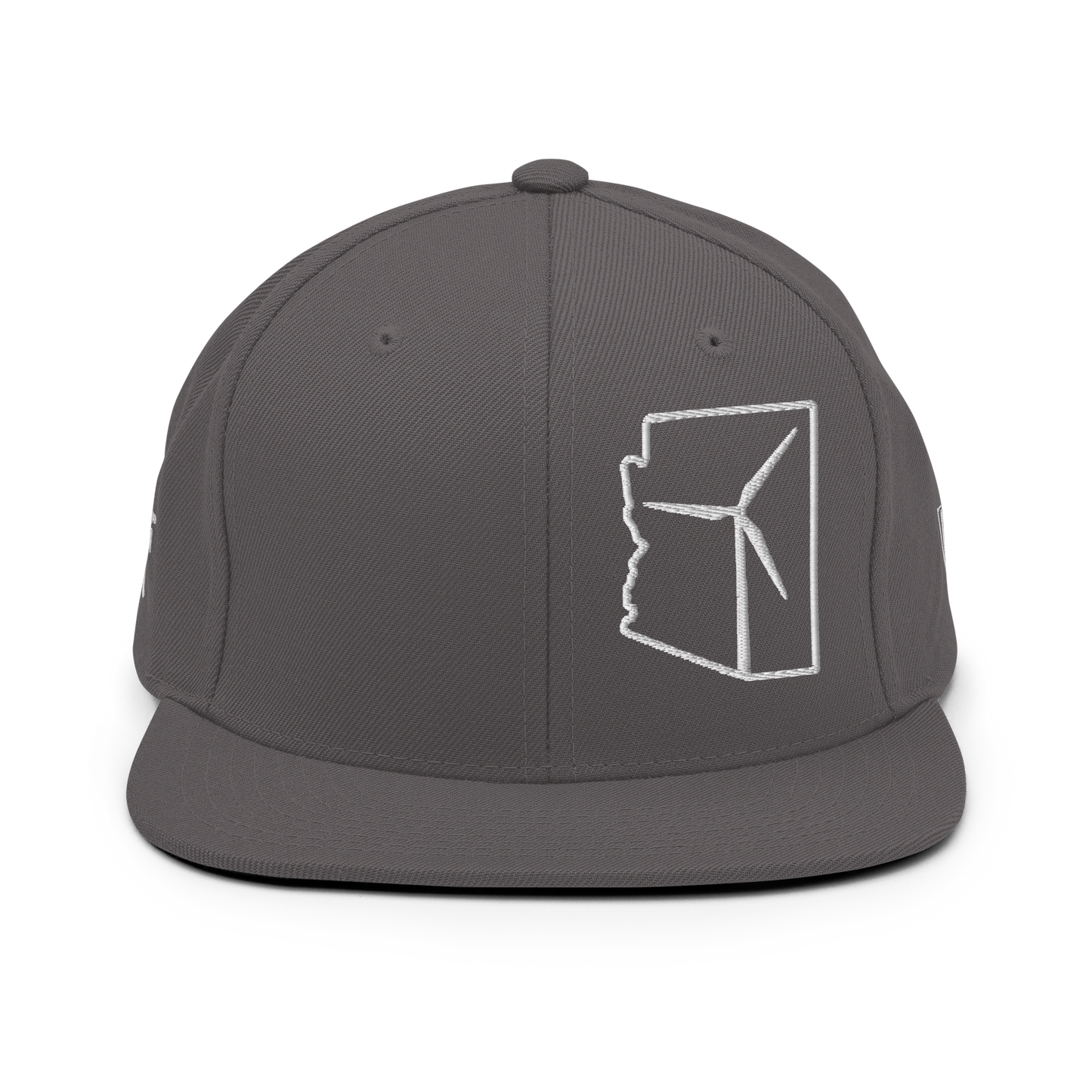 Arizona Wind Snapback Hat