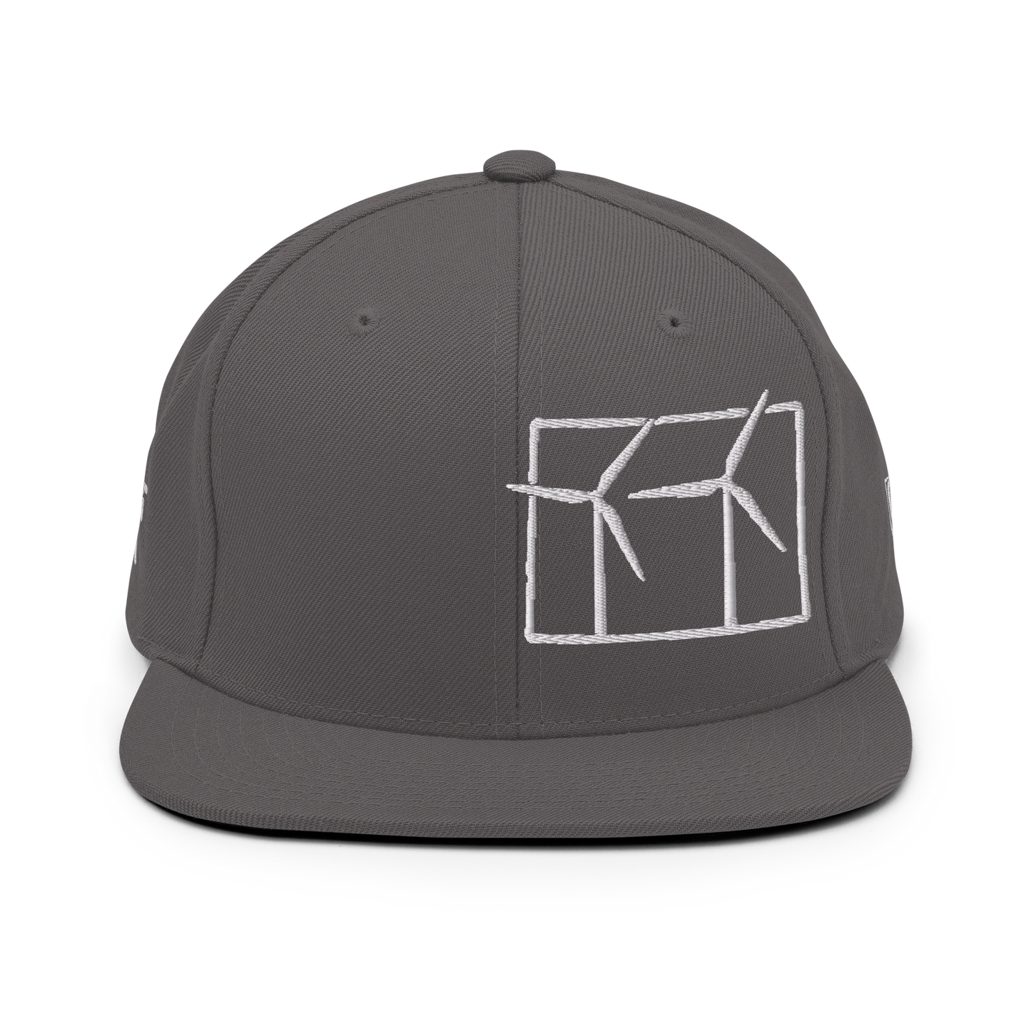 Colorado Wind Snapback Hat