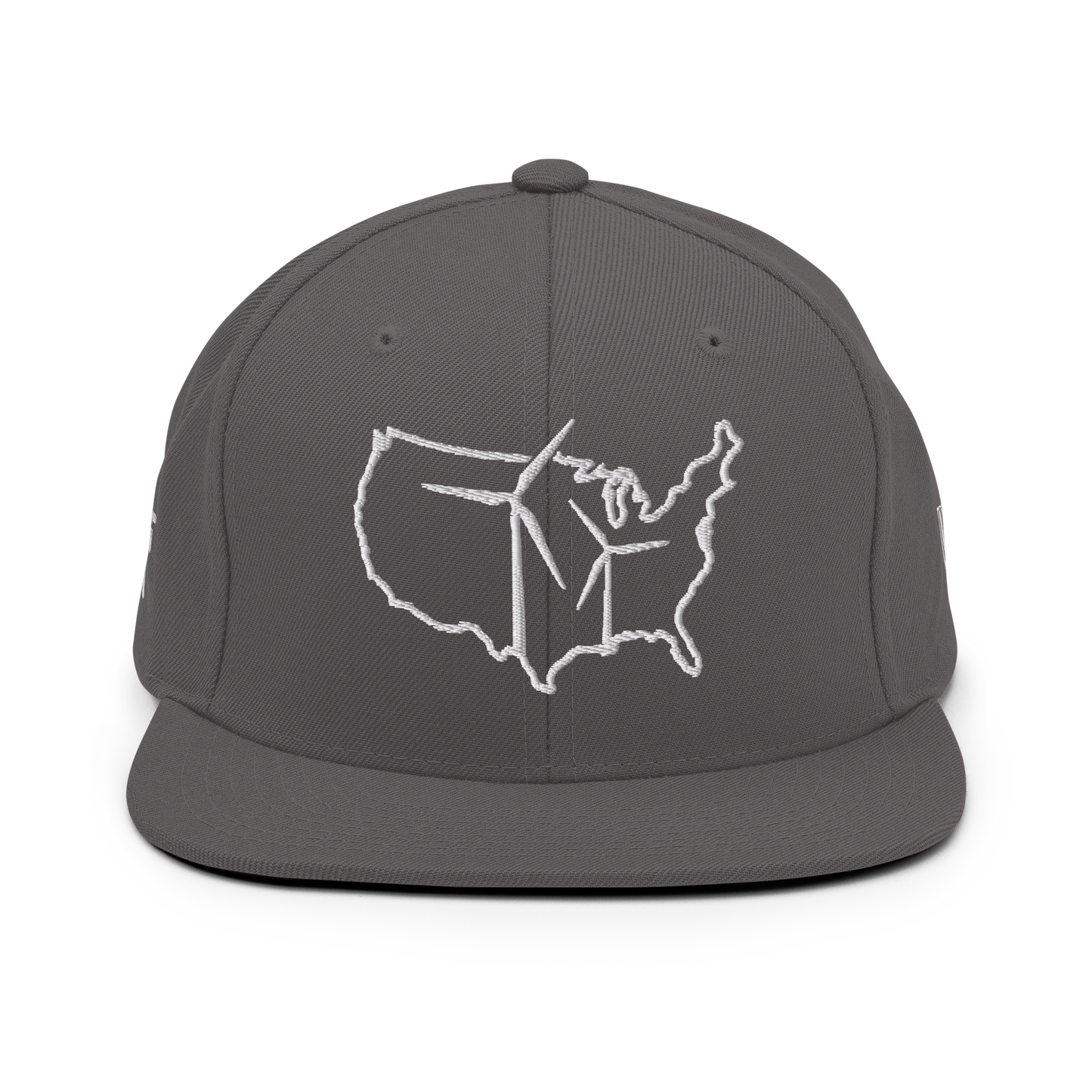 USA Wind Snapback Hat