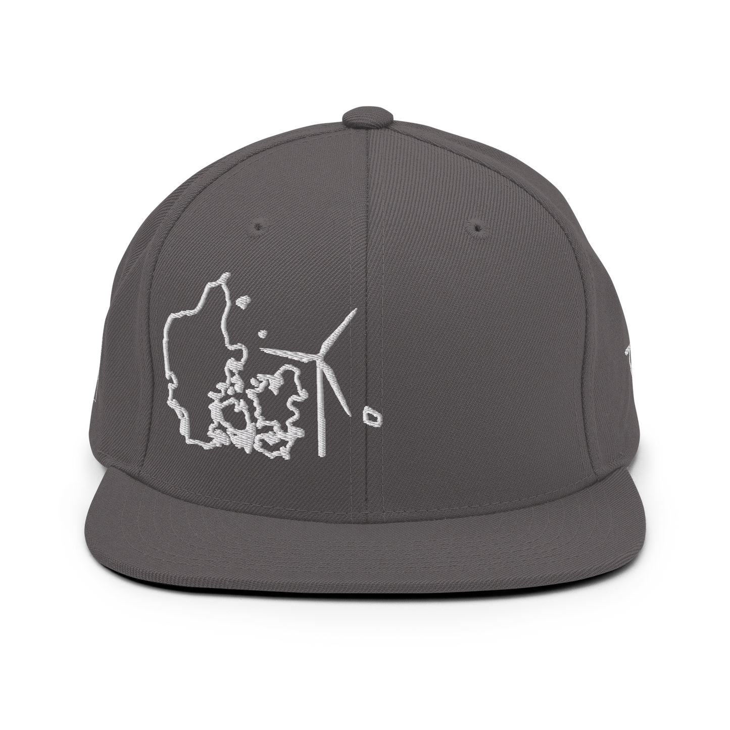 Denmark Wind Snapback Hat