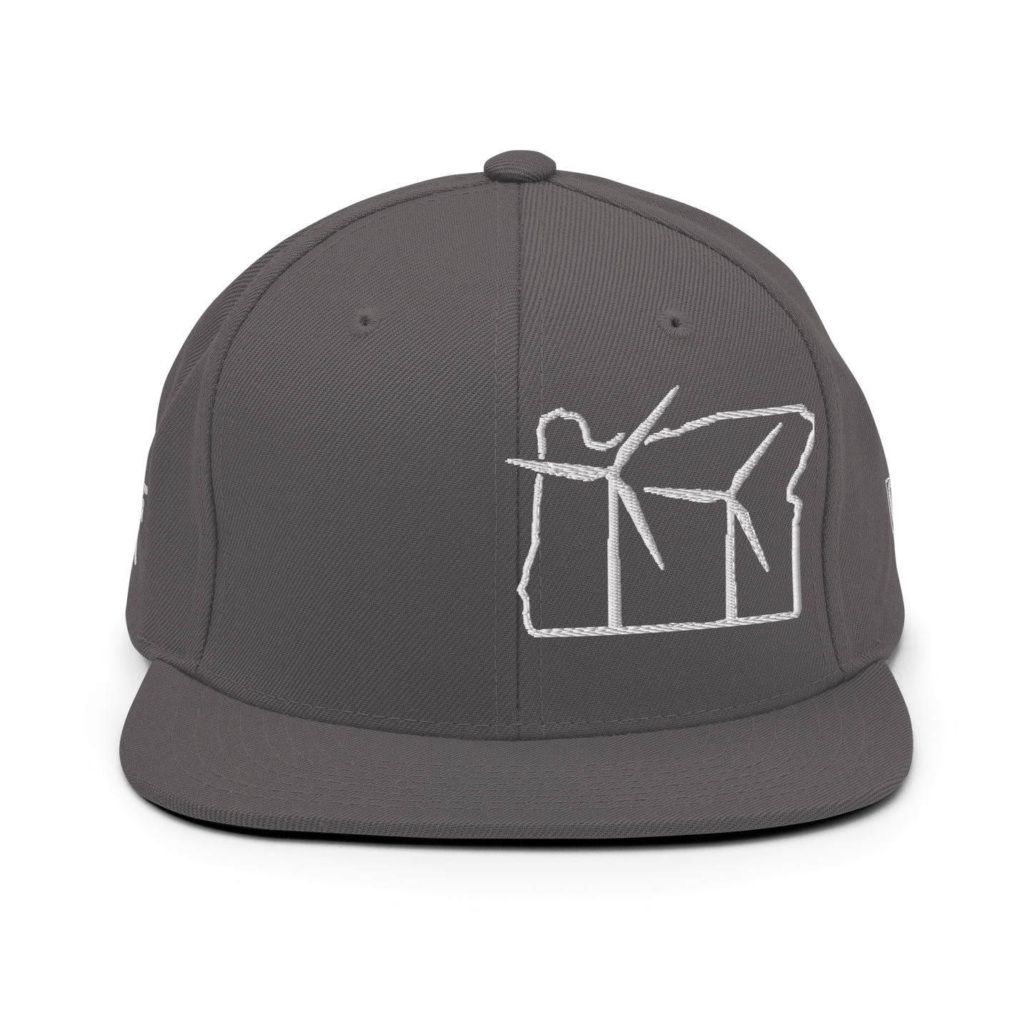 Oregon Wind Snapback Hat