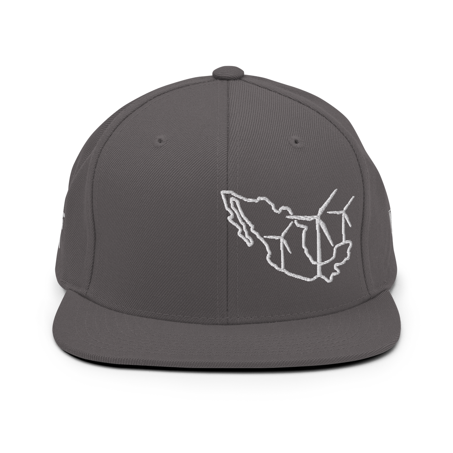 Mexico Wind Snapback Hat