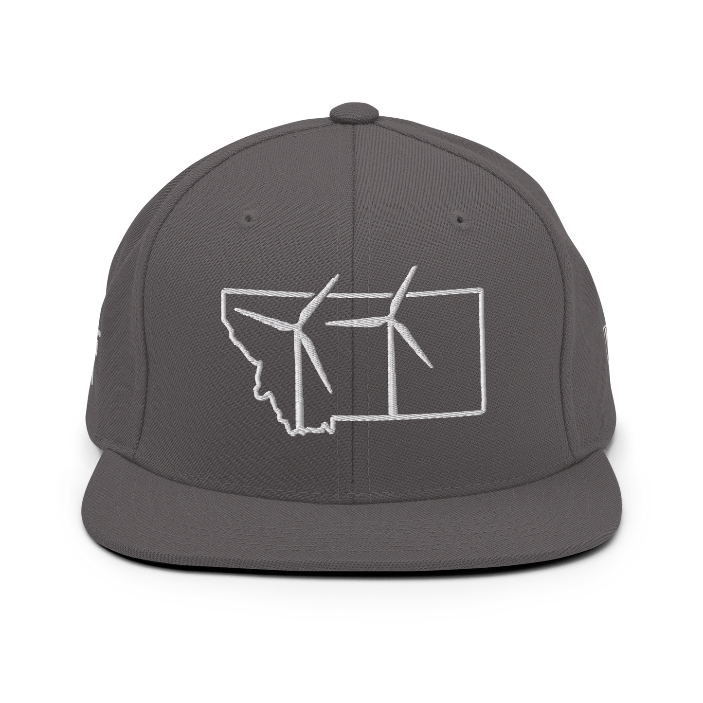 Montana Wind Snapback Hat