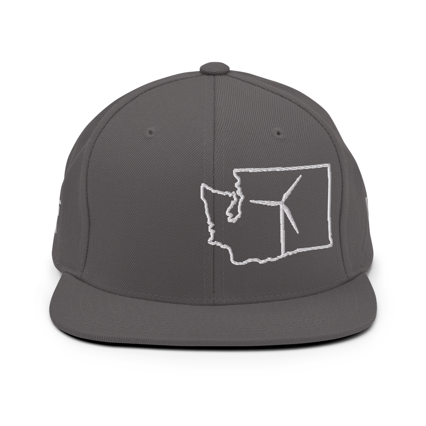 Washington Wind Snapback Hat
