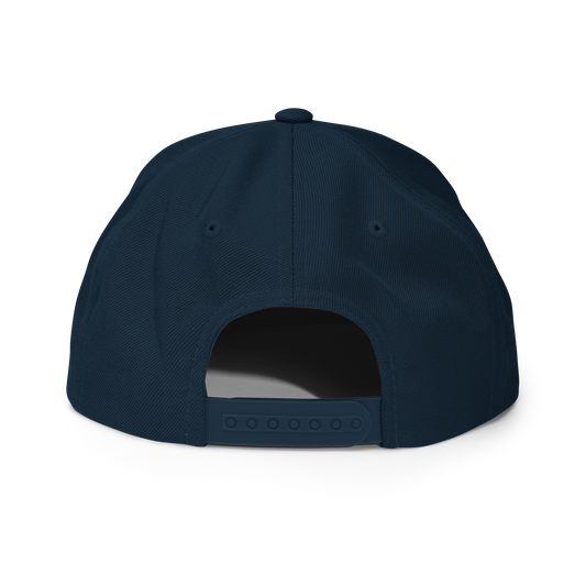 Colorado Wind Snapback Hat