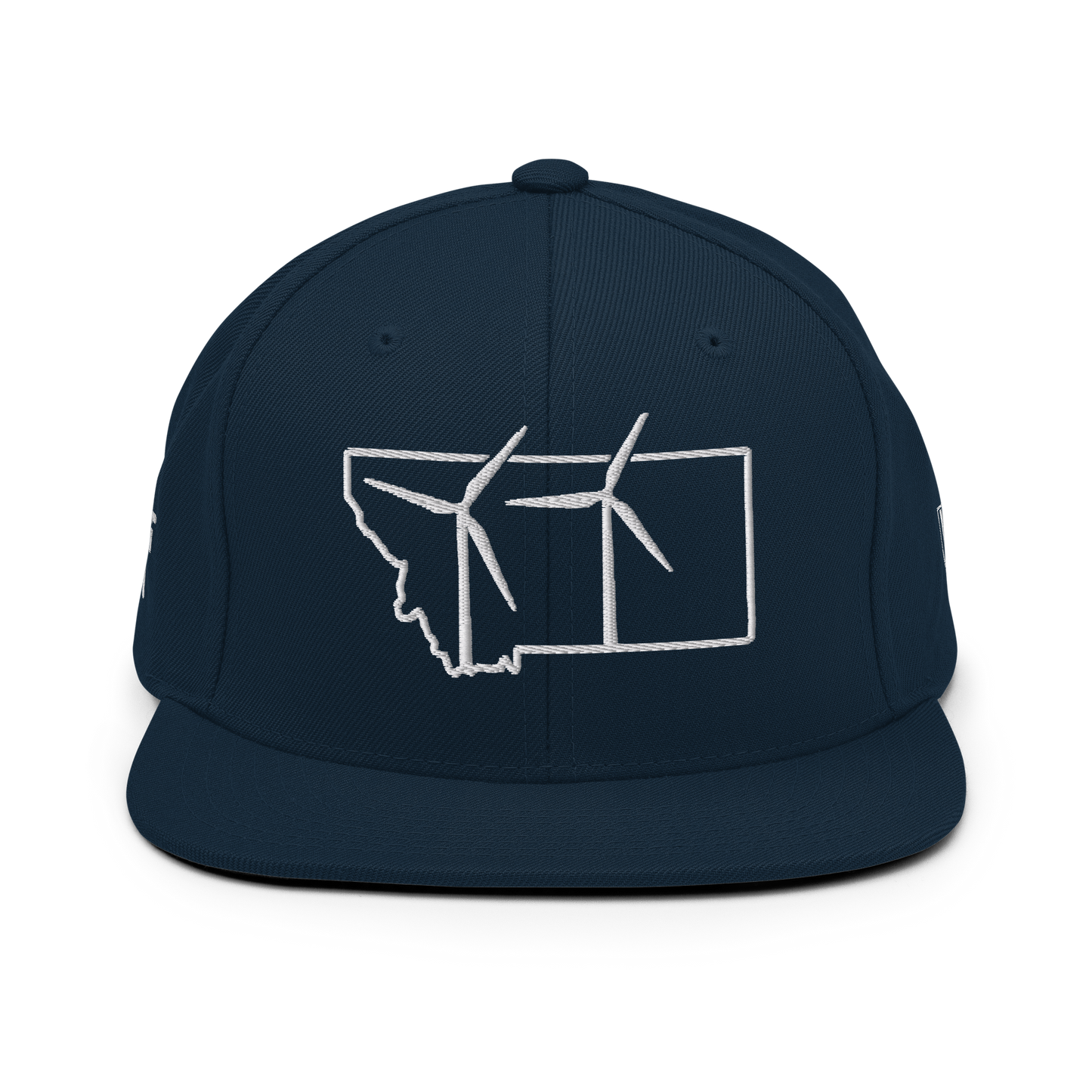 Montana Wind Snapback Hat