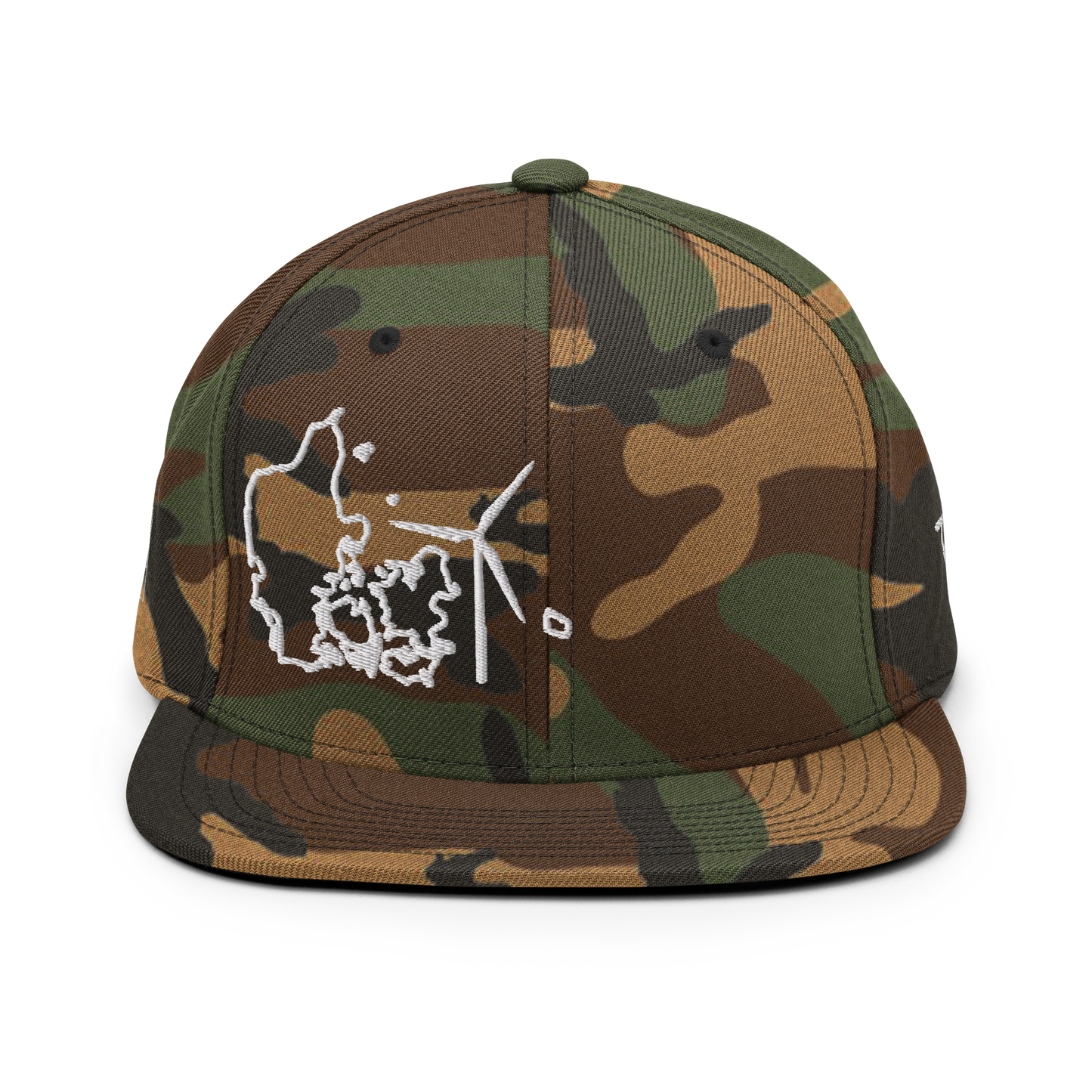 Denmark Wind Snapback Hat