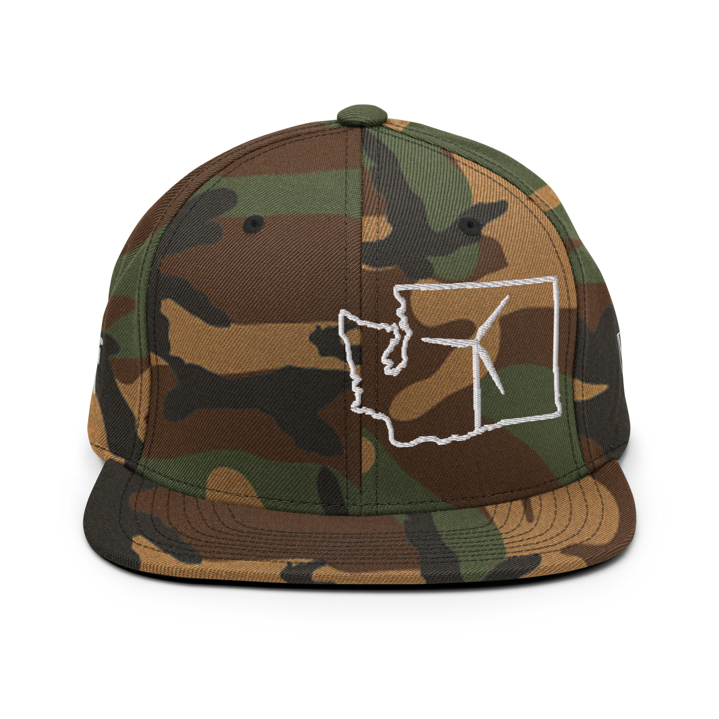 Washington Wind Snapback Hat