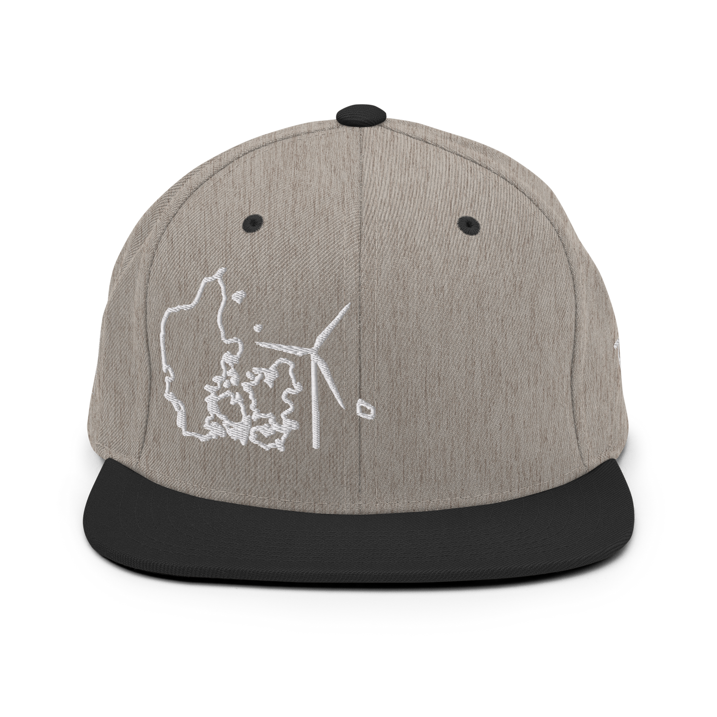 Denmark Wind Snapback Hat