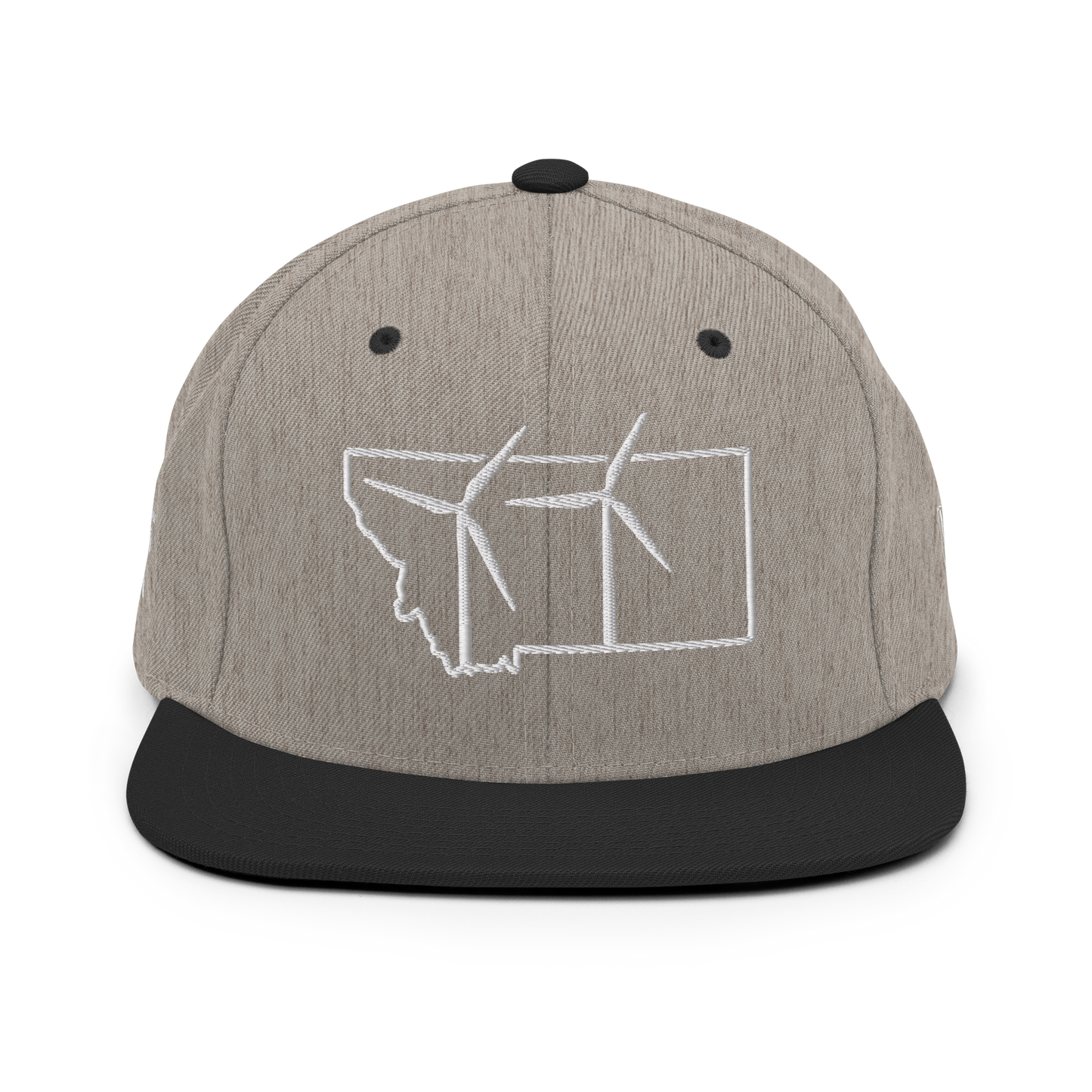 Montana Wind Snapback Hat