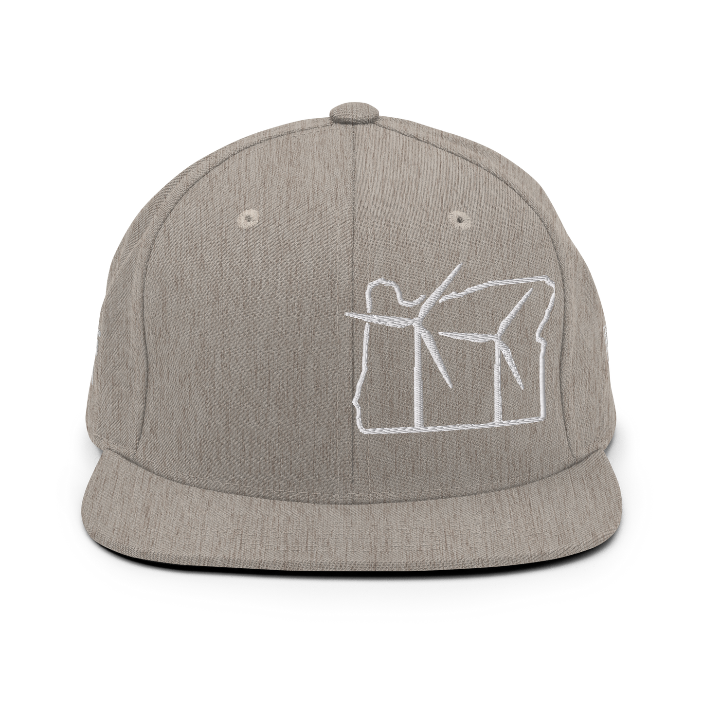 Oregon Wind Snapback Hat