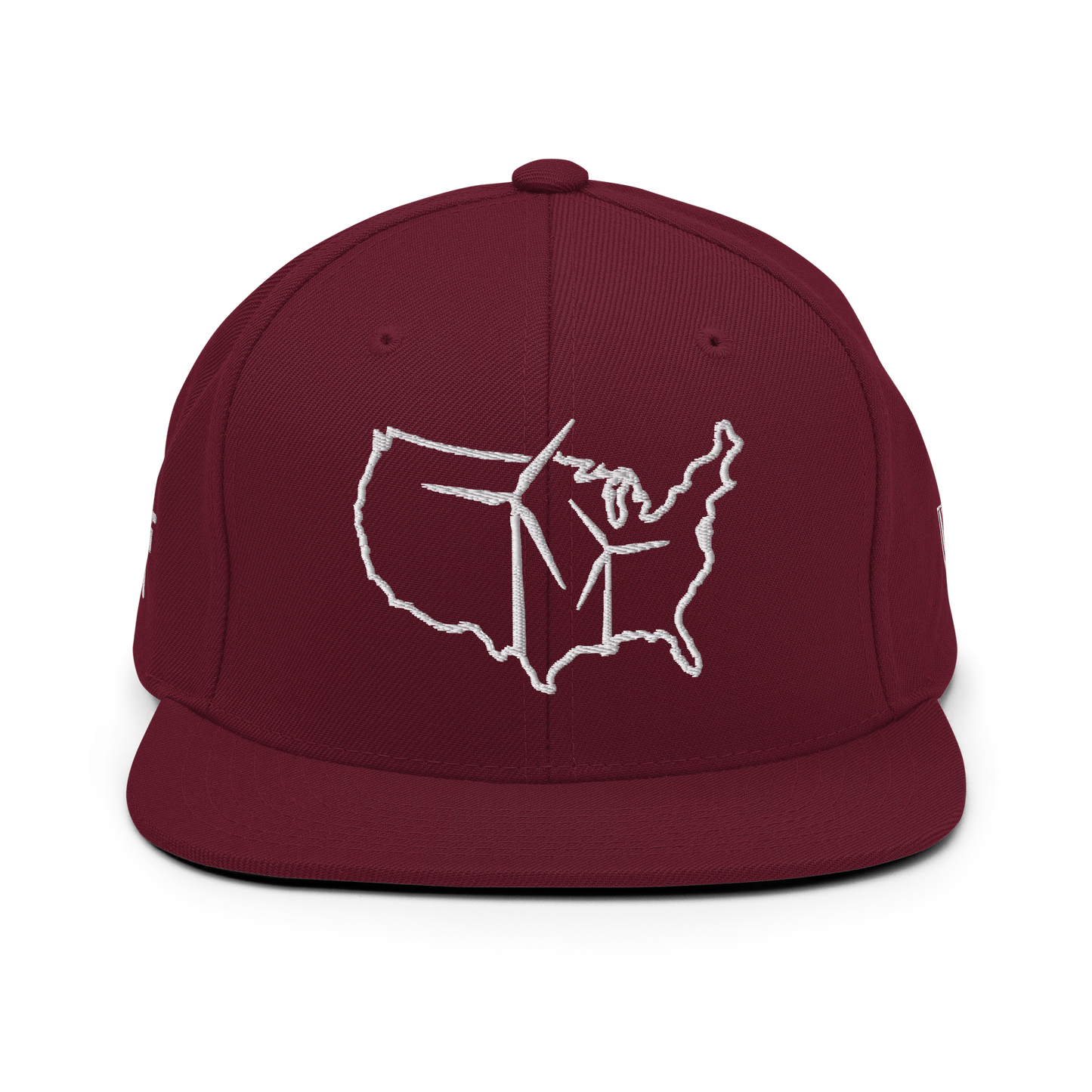 USA Wind Snapback Hat