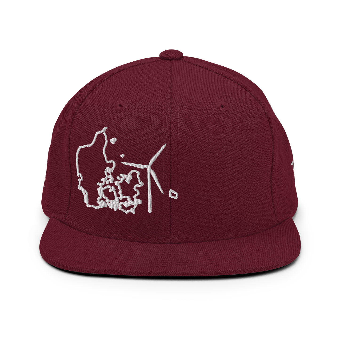 Denmark Wind Snapback Hat