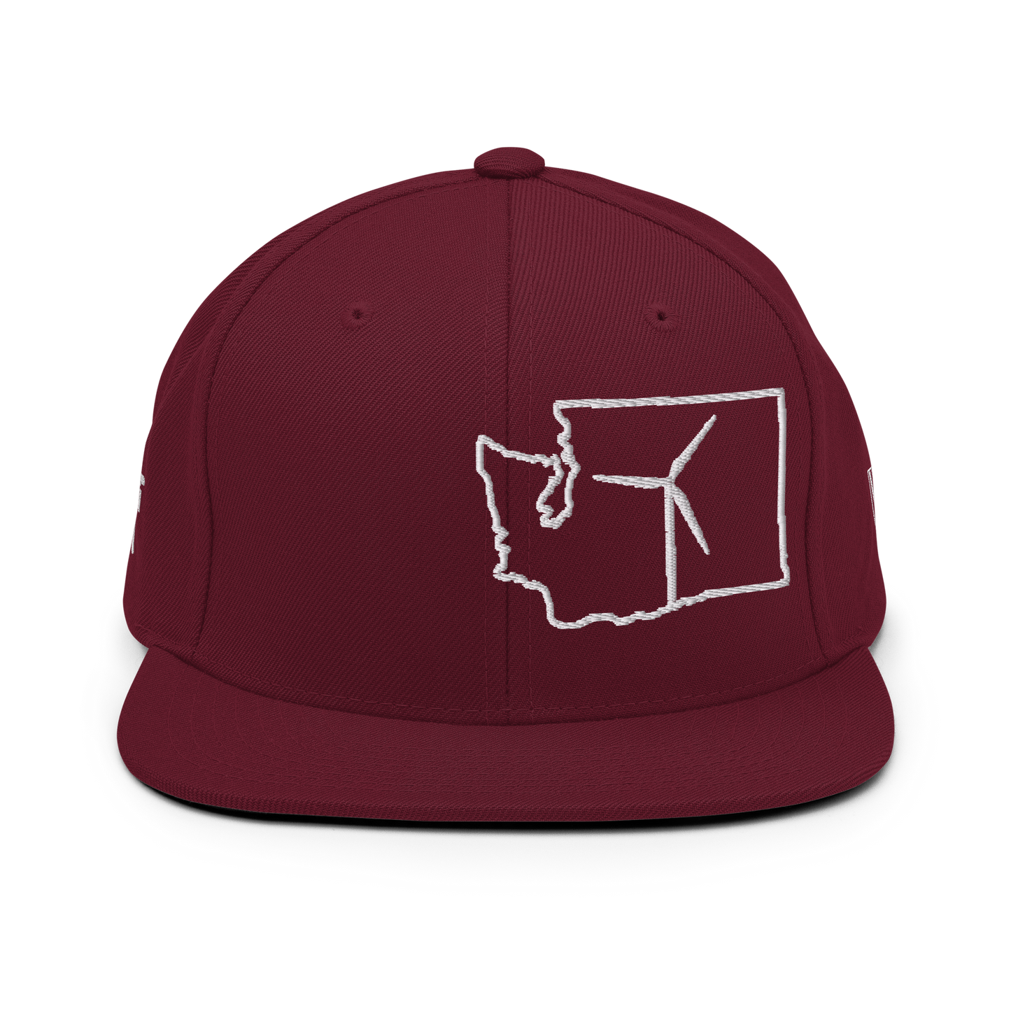 Washington Wind Snapback Hat