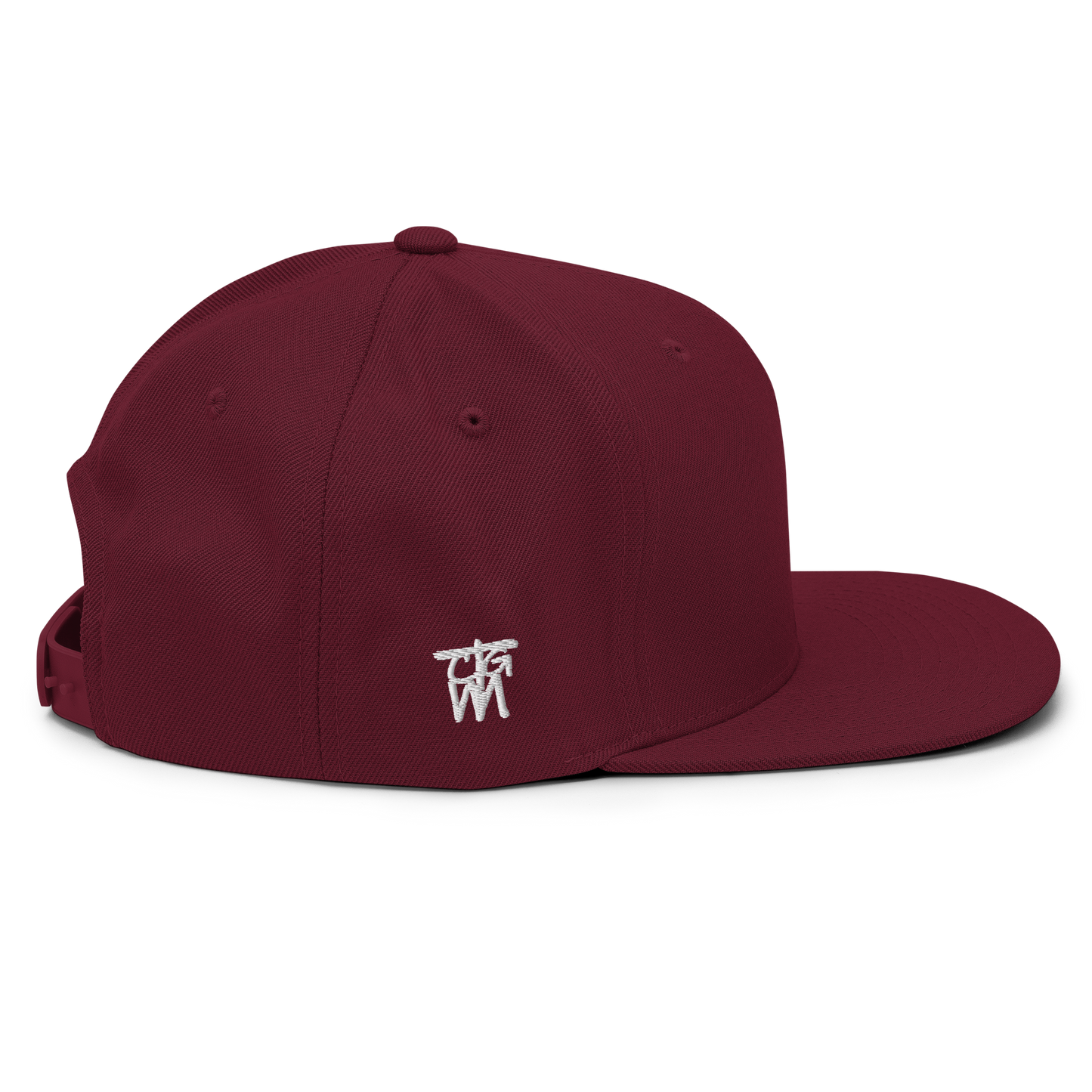 Texas Wind Snapback Hat