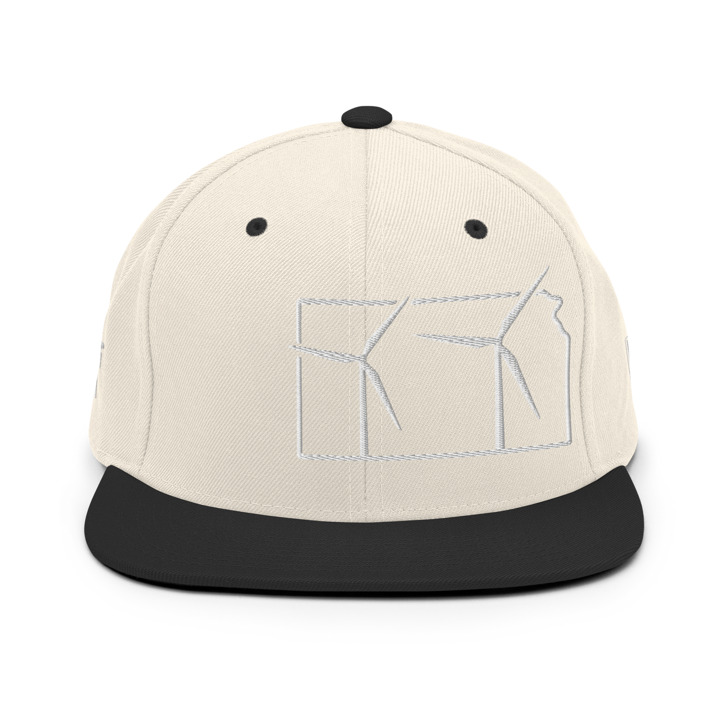 Kansas Wind Snapback Hat