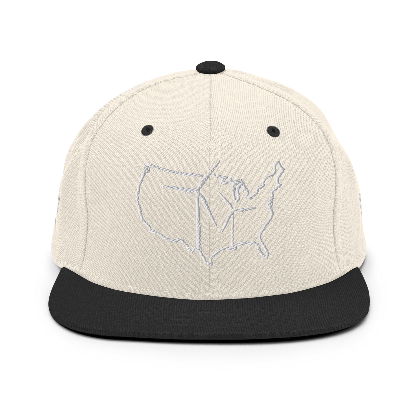 USA Wind Snapback Hat
