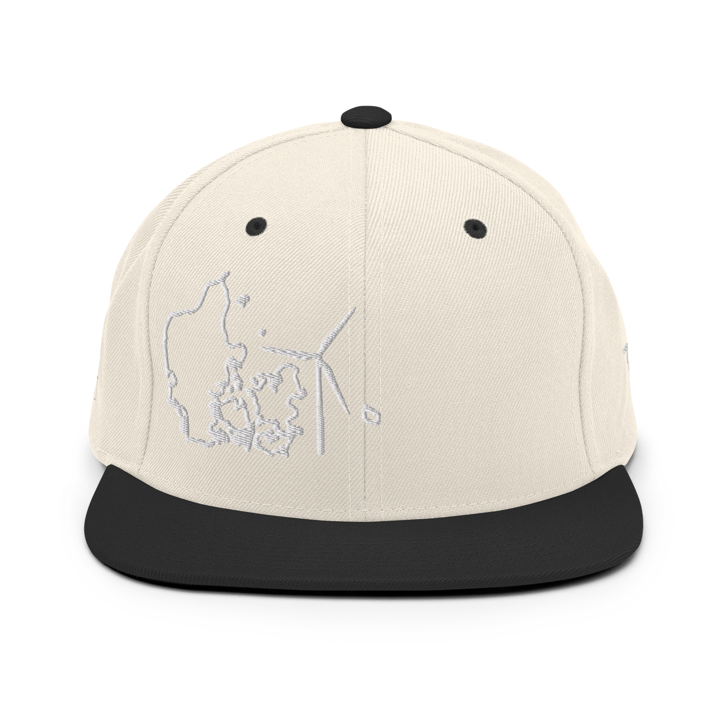 Denmark Wind Snapback Hat
