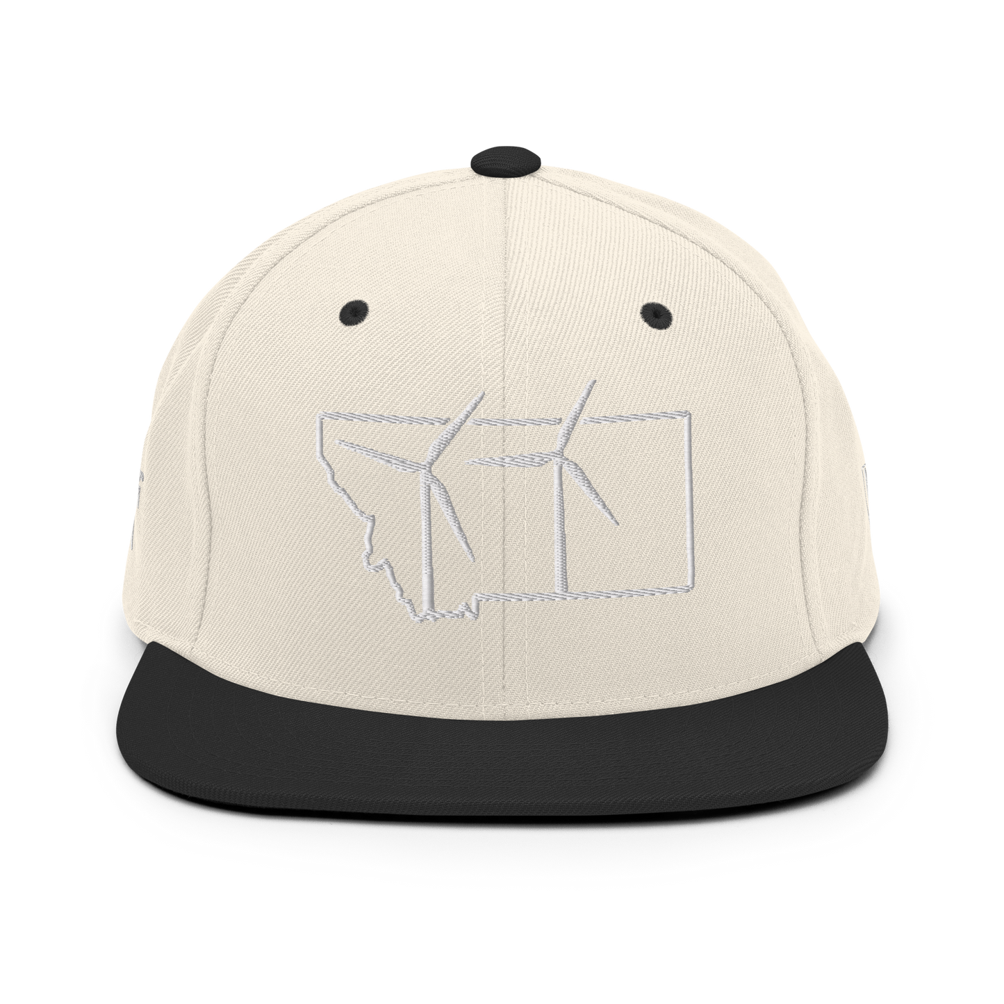 Montana Wind Snapback Hat