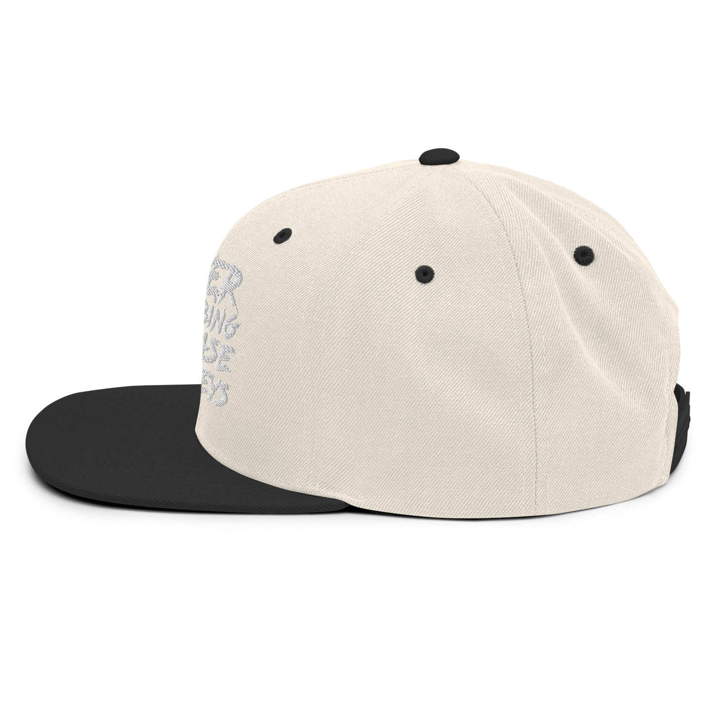 Scratch Snapback Hat