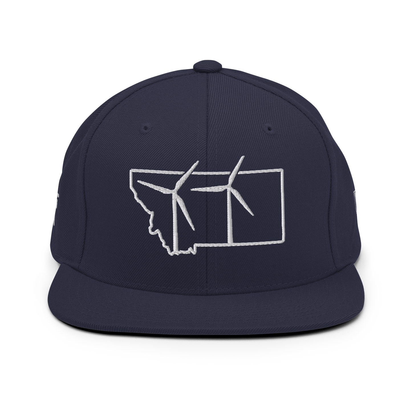 Montana Wind Snapback Hat