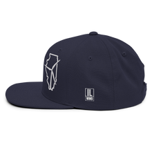 Illinois Wind Snapback Hat