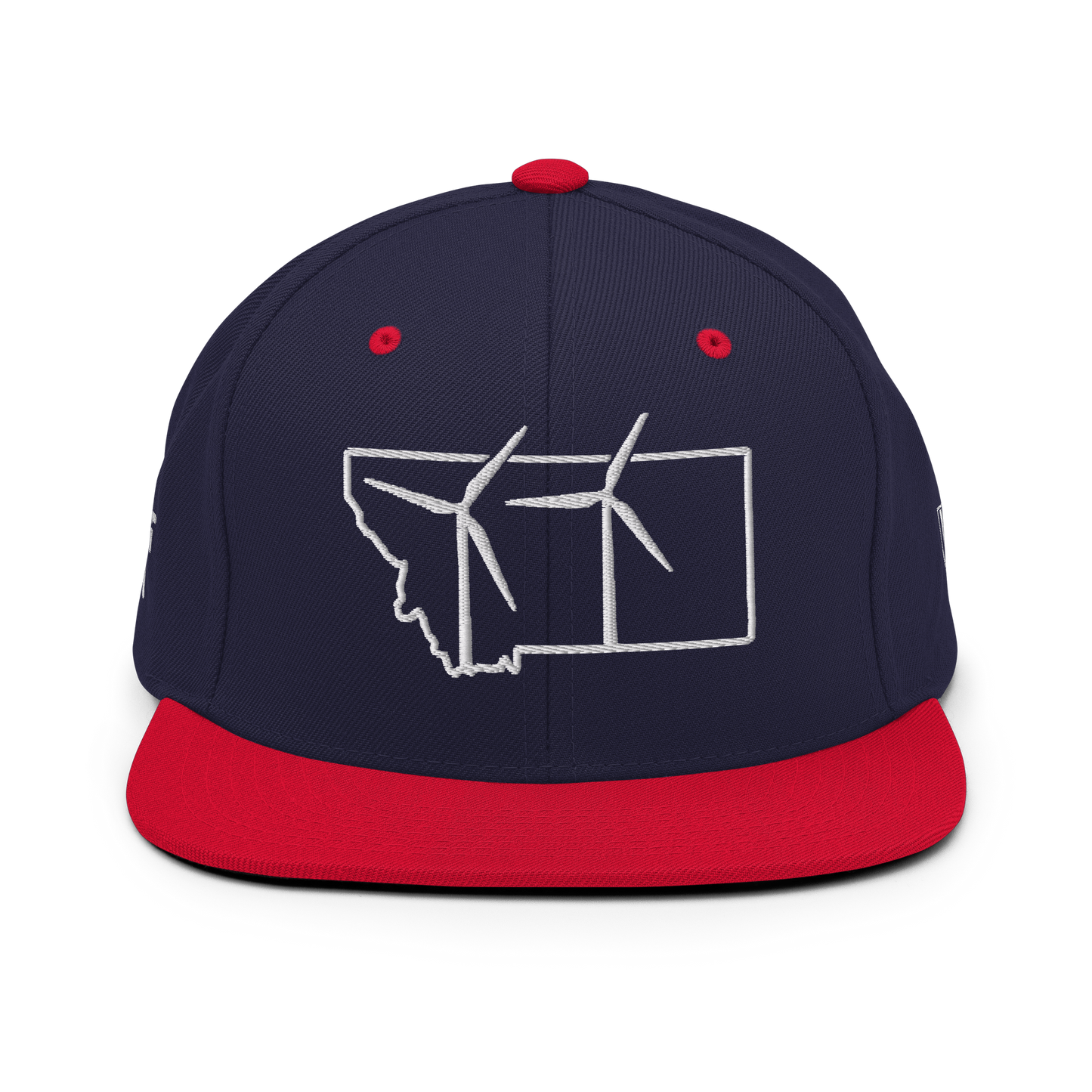 Montana Wind Snapback Hat