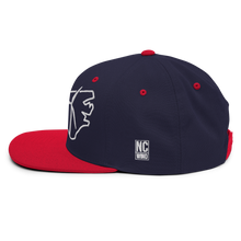 North Carolina Wind Snapback Hat