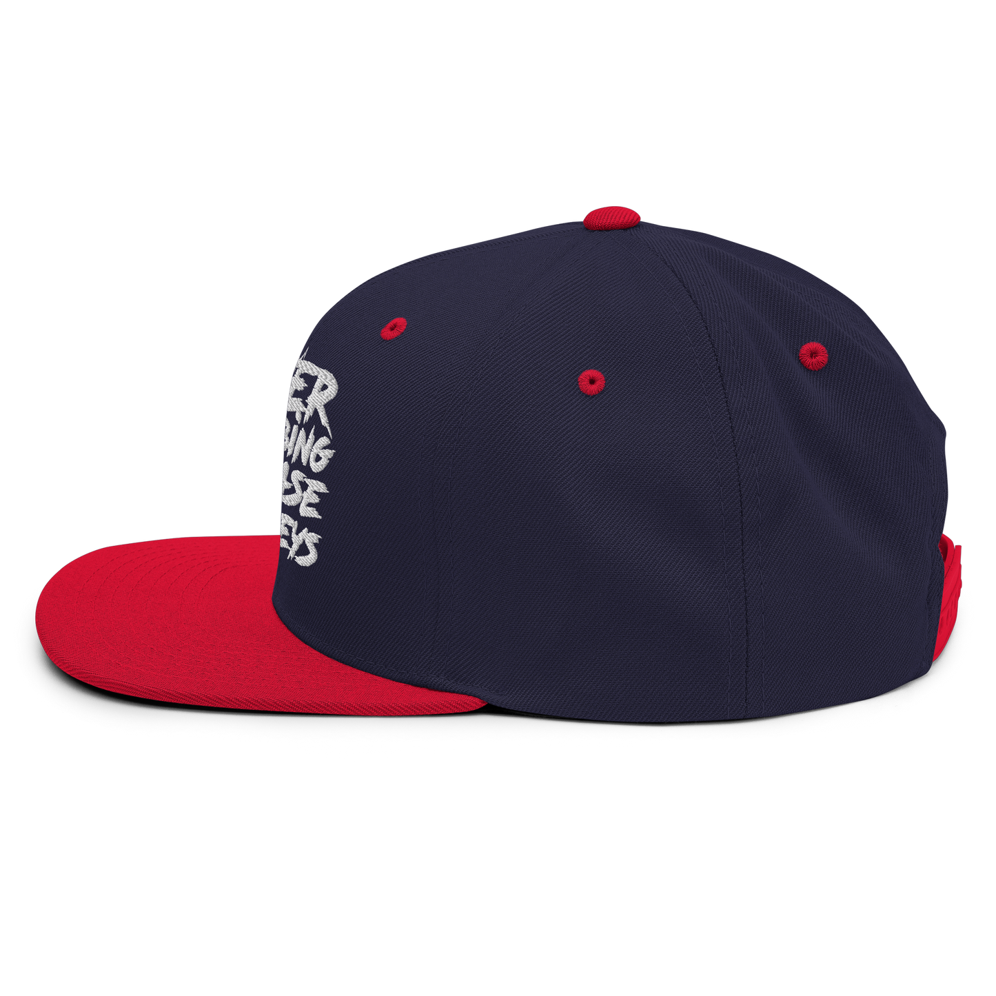 Scratch Snapback Hat