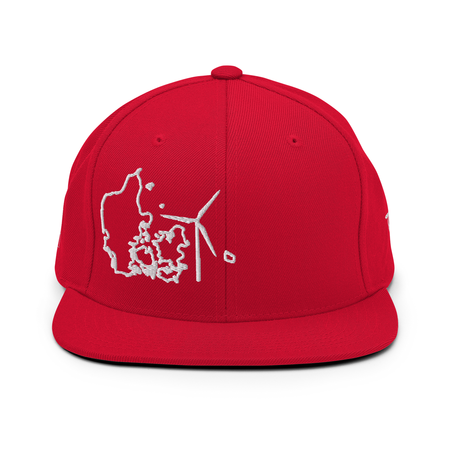Denmark Wind Snapback Hat