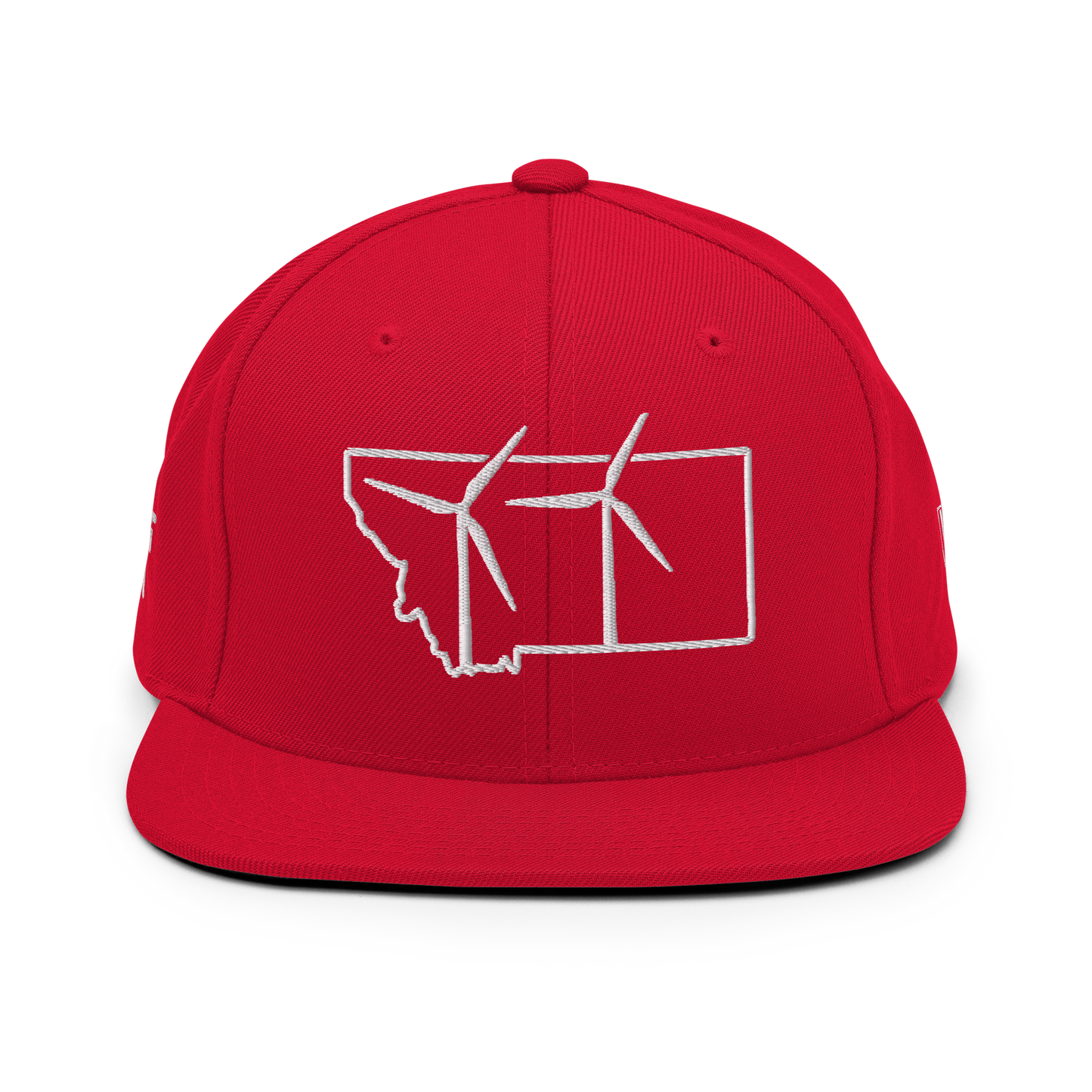 Montana Wind Snapback Hat