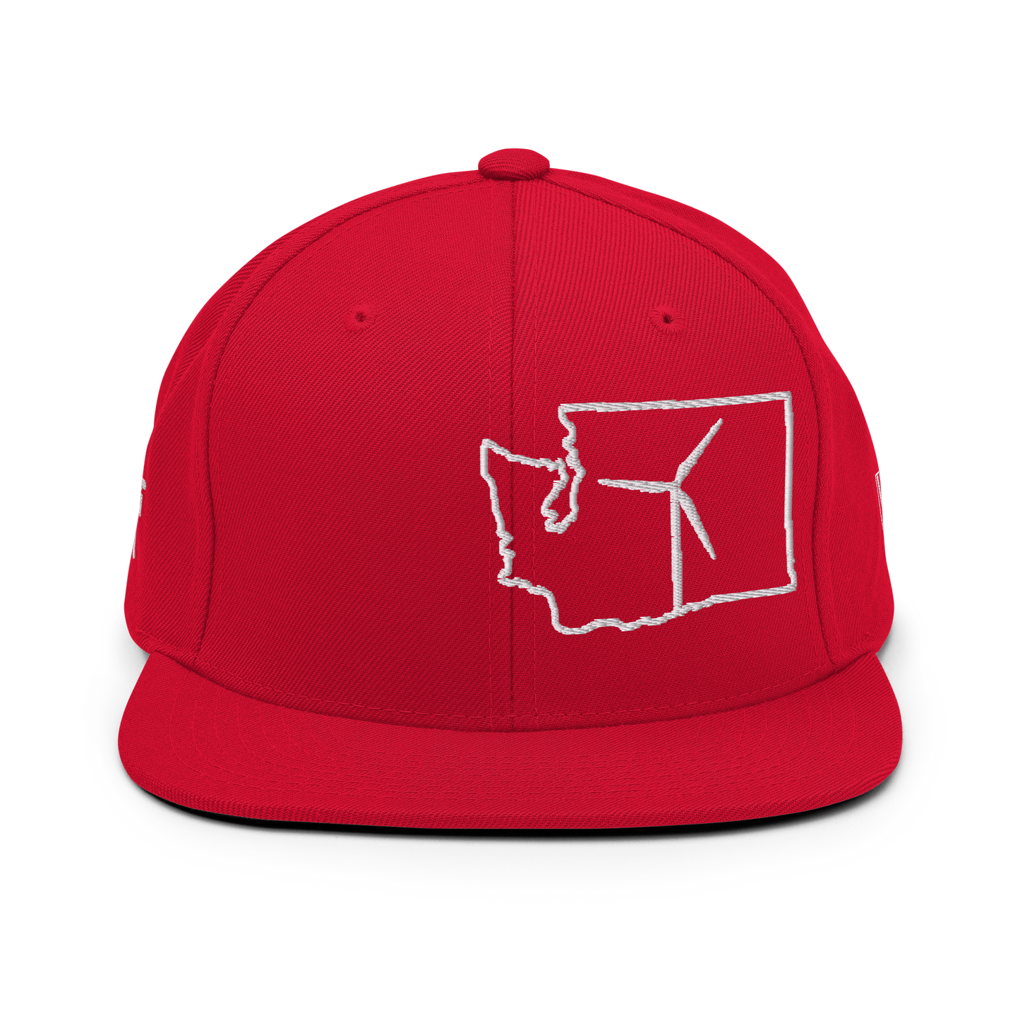 Washington Wind Snapback Hat
